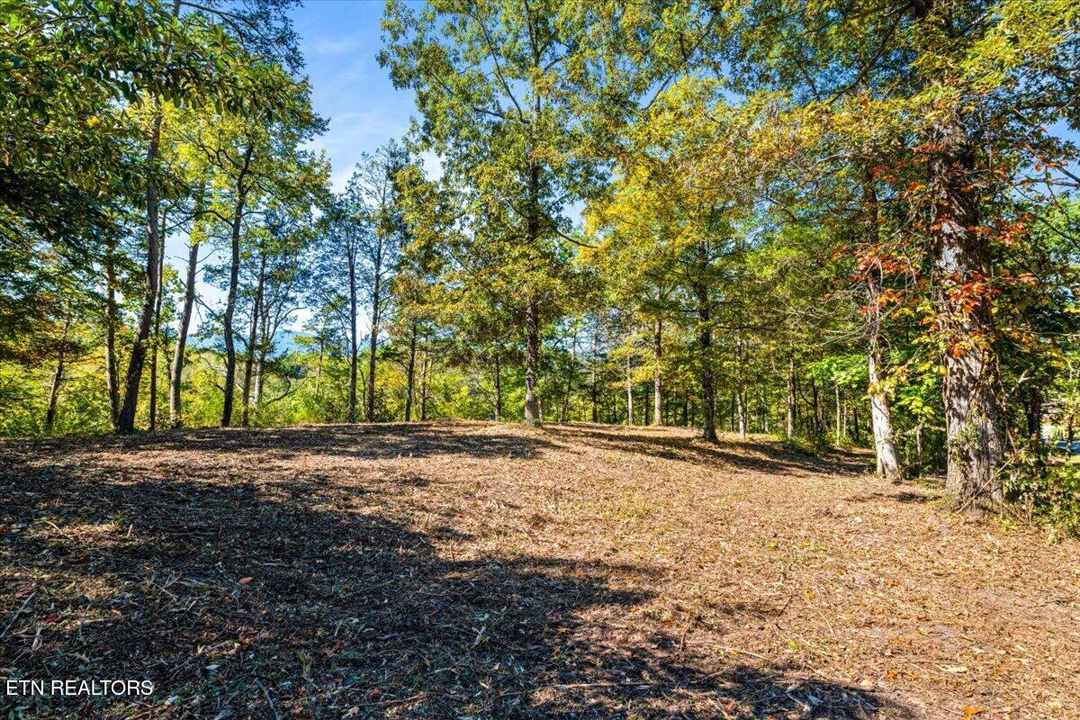 LOT1,2,2,3 Bluff Trace Jacksboro TN 37757