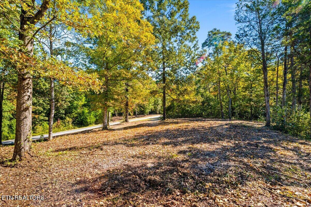 LOT1,2,2,3 Bluff Trace Jacksboro TN 37757