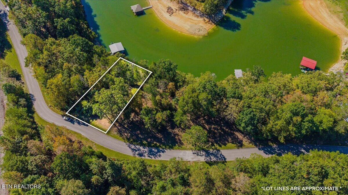 LOT1,2,2,3 Bluff Trace Jacksboro TN 37757