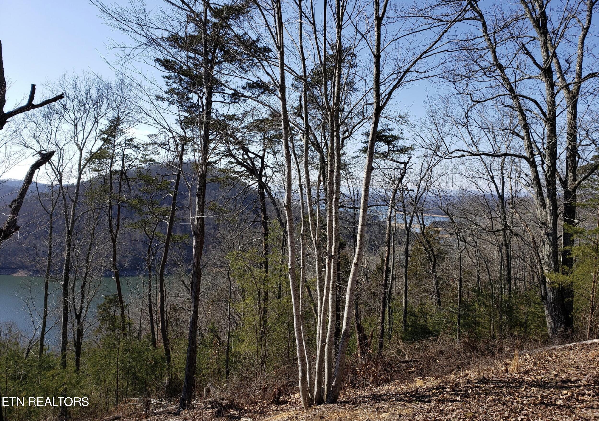 816 Woodside Lane Sharps Chapel TN 37866
