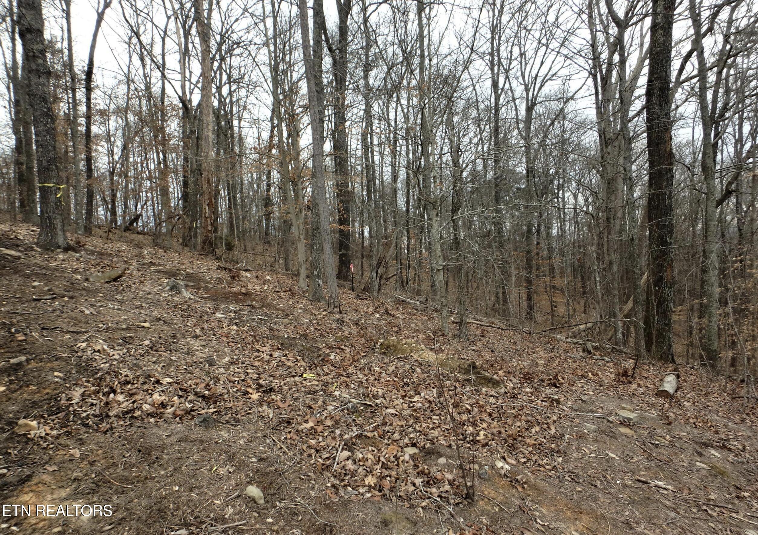 816 Woodside Lane Sharps Chapel TN 37866