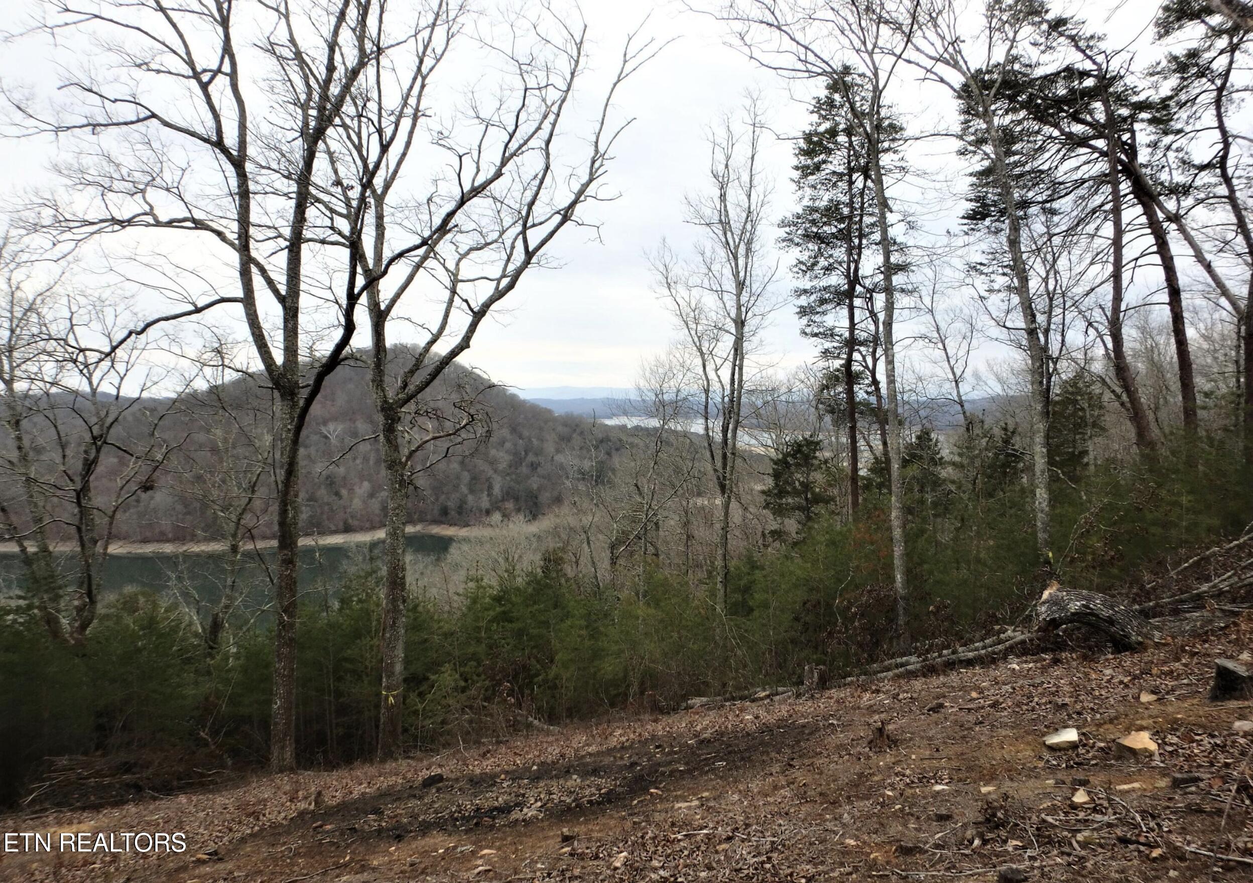 816 Woodside Lane Sharps Chapel TN 37866