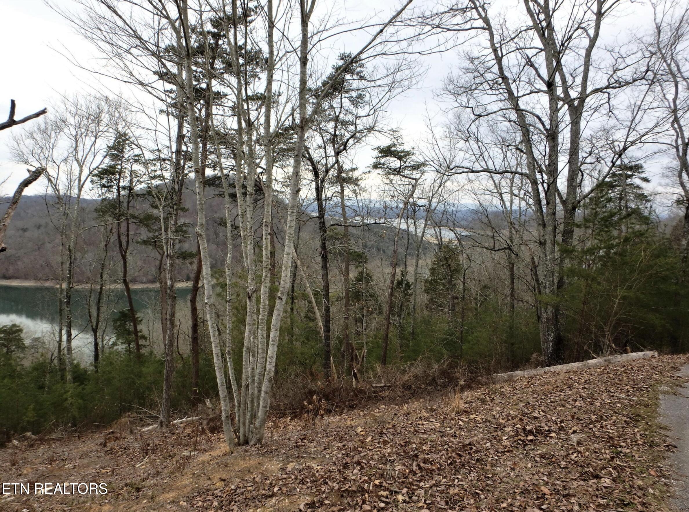 816 Woodside Lane Sharps Chapel TN 37866