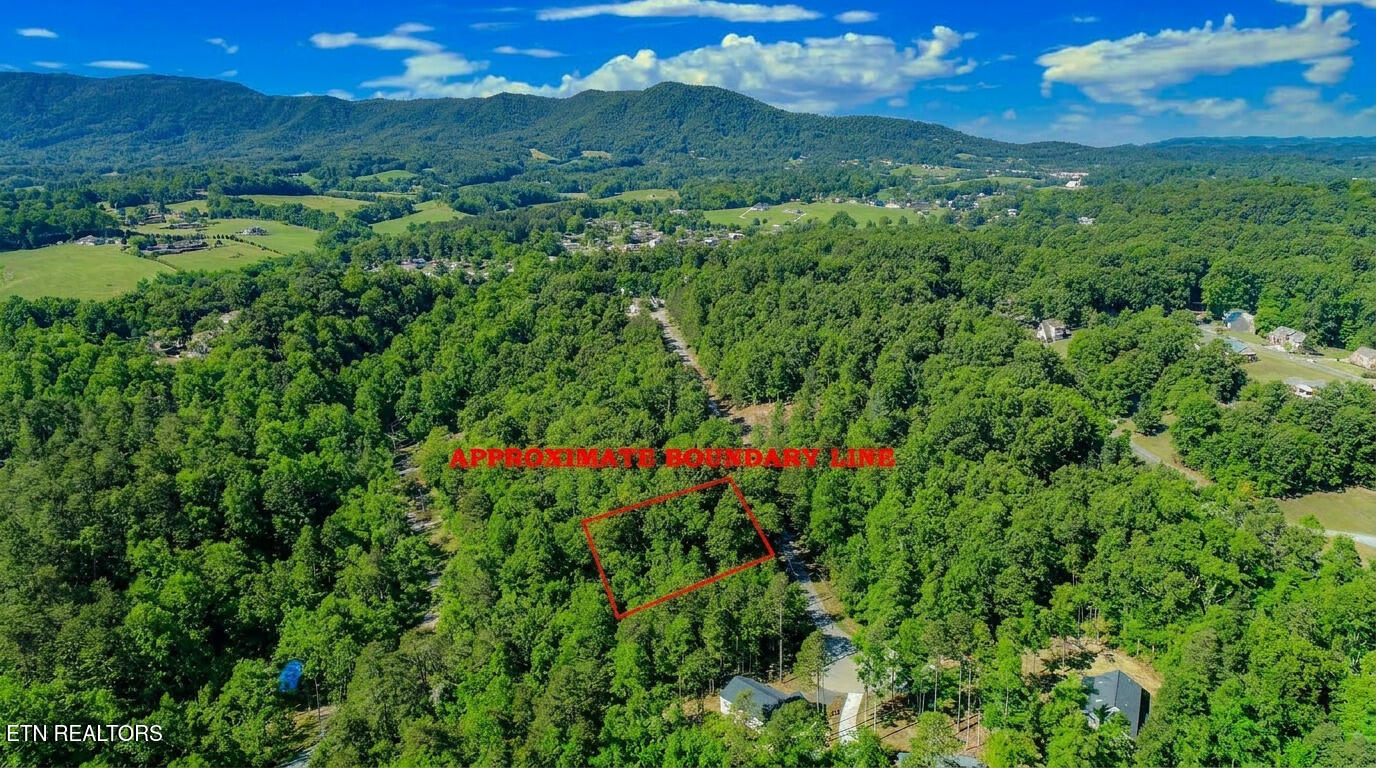 1413 Timber Trail Newport TN 37821