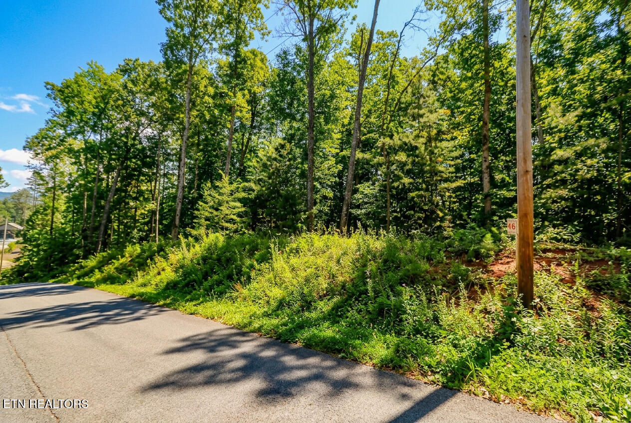1413 Timber Trail Newport TN 37821
