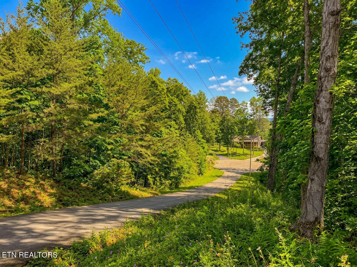 1413 Timber Trail Newport TN 37821