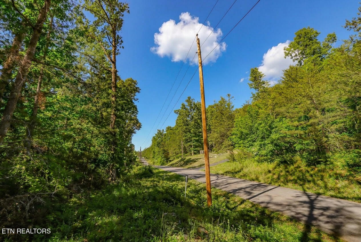 1413 Timber Trail Newport TN 37821