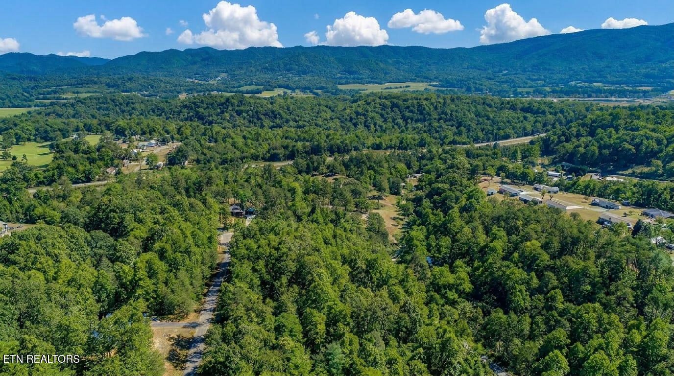 1413 Timber Trail Newport TN 37821