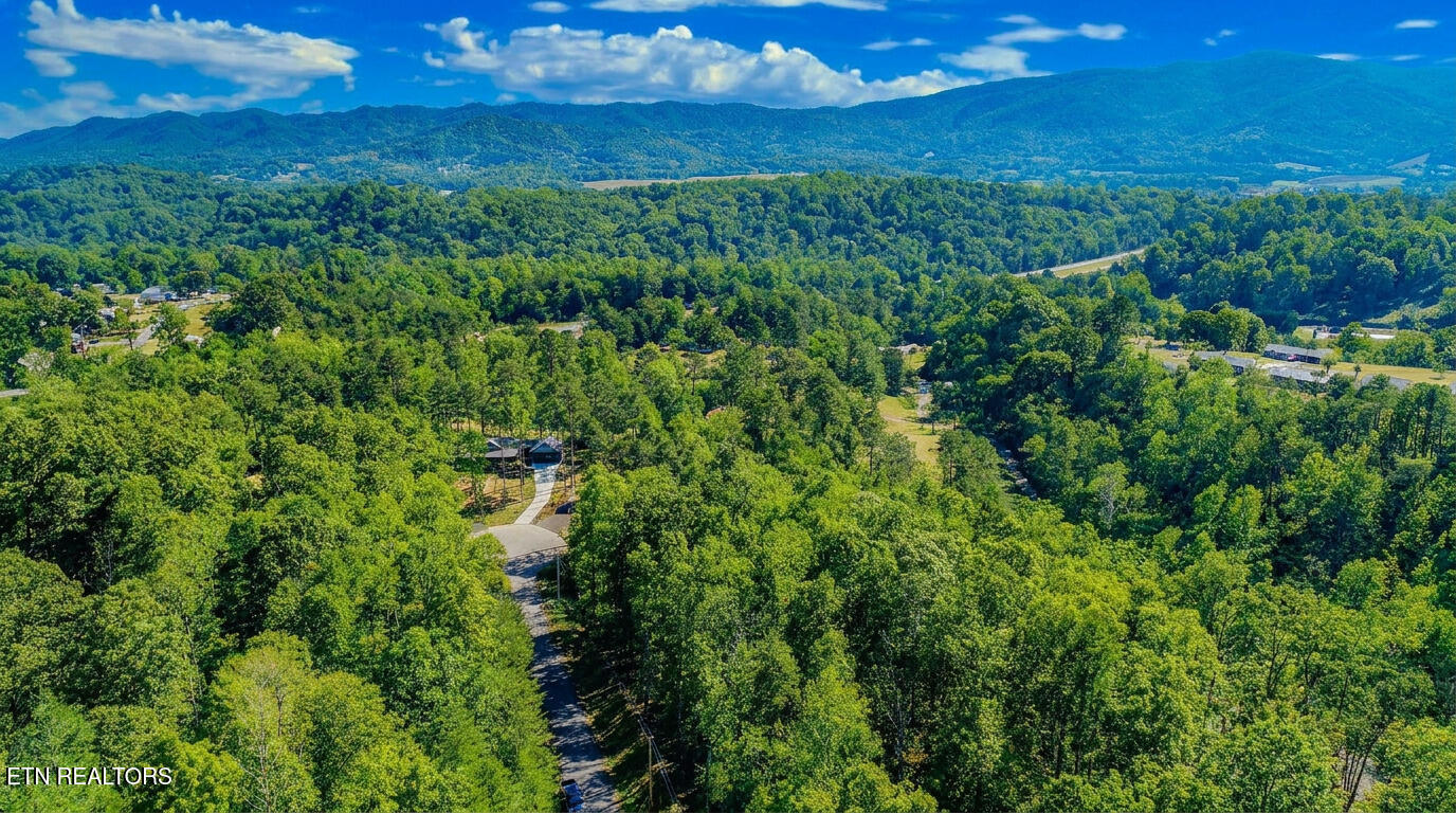 1413 Timber Trail Newport TN 37821