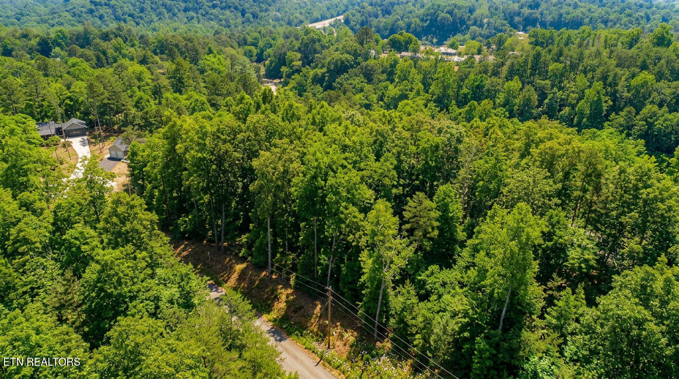 1413 Timber Trail Newport TN 37821