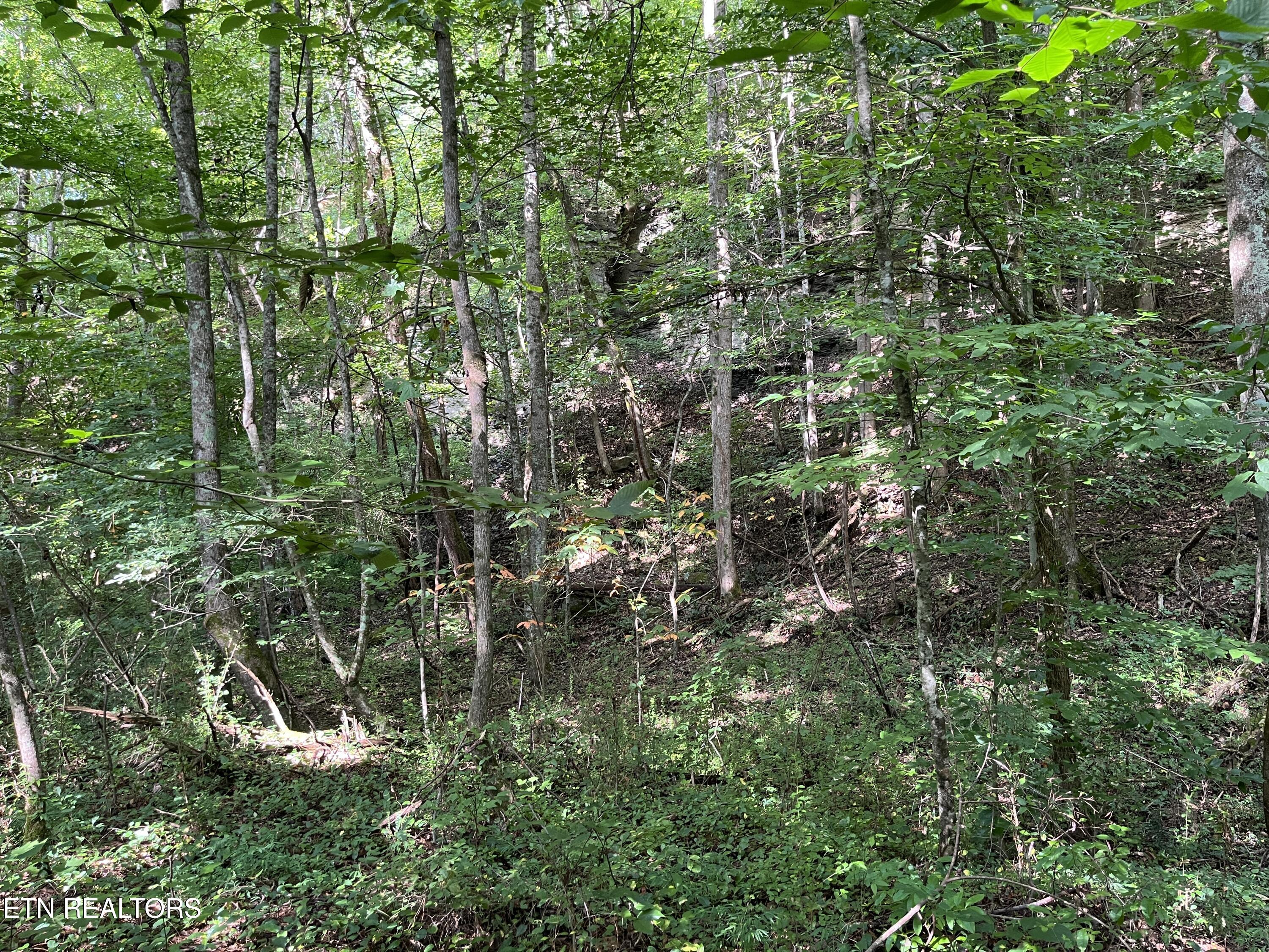 Frost Bottom Road Oliver Springs TN 37840