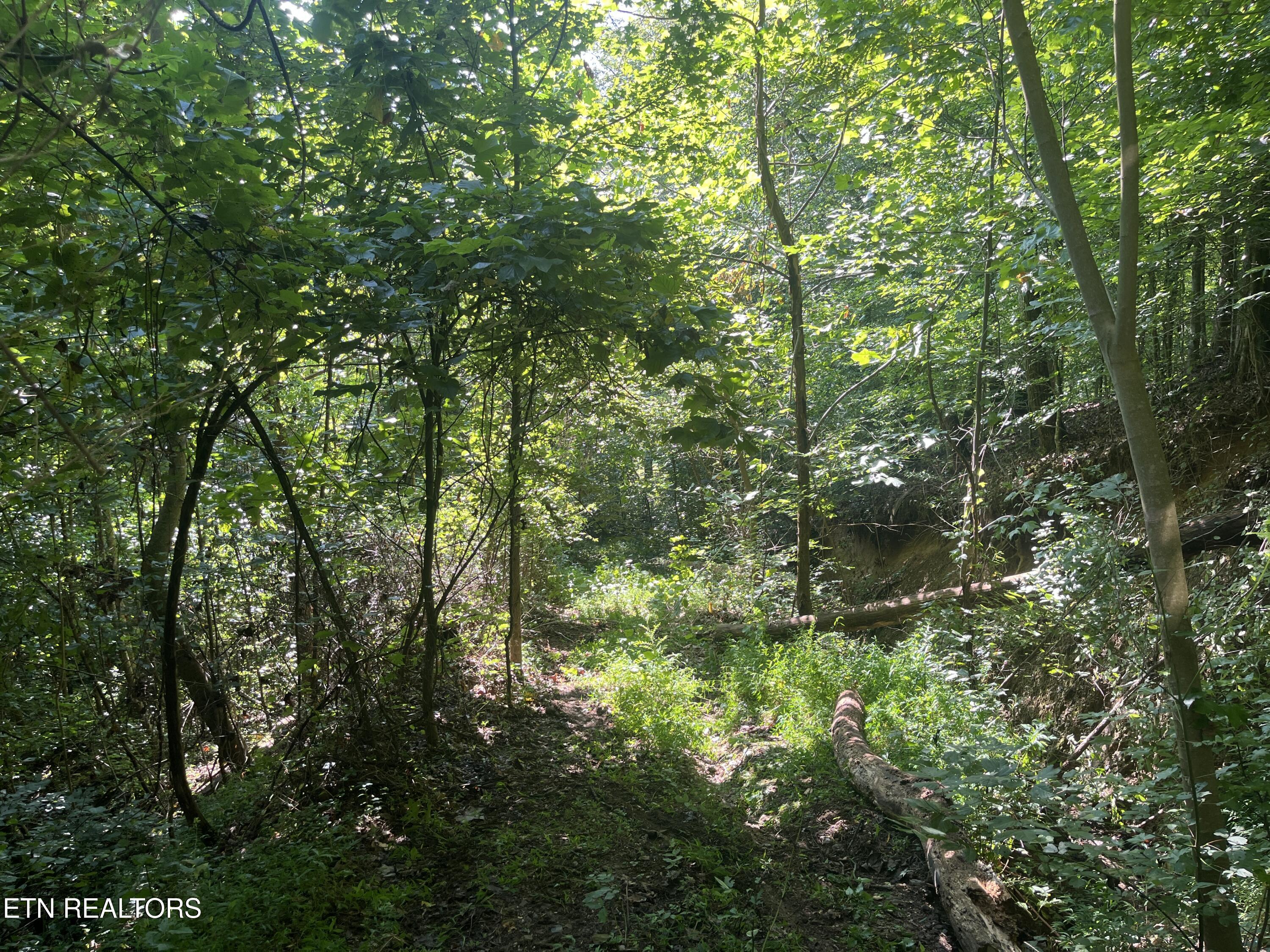 Frost Bottom Road Oliver Springs TN 37840