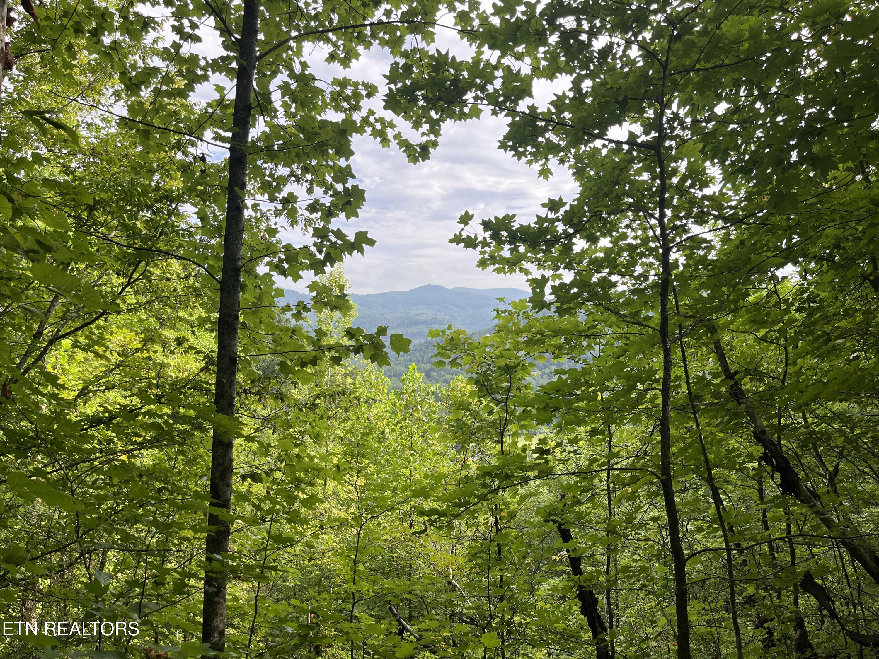 Frost Bottom Road Oliver Springs TN 37840