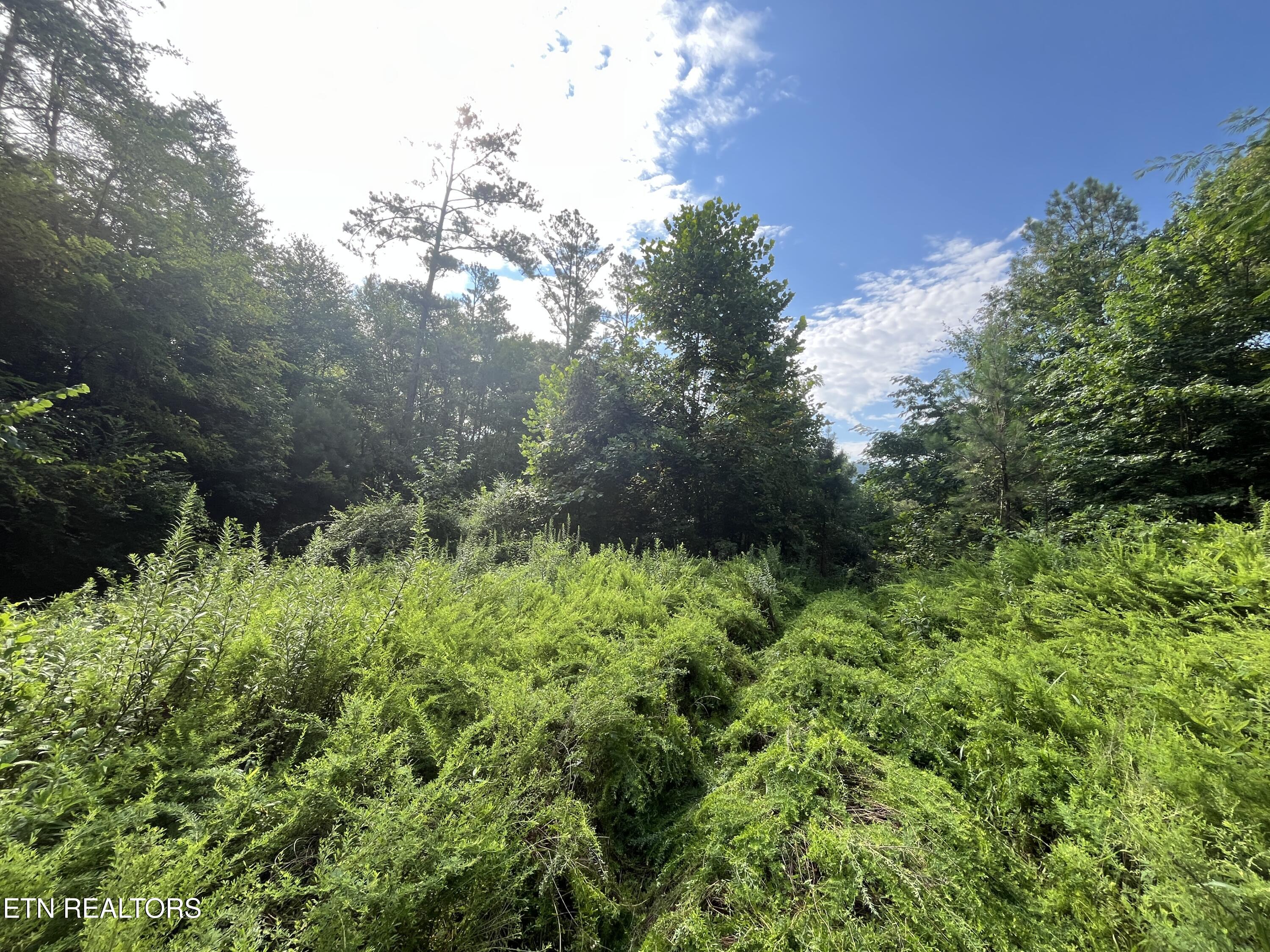Frost Bottom Road Oliver Springs TN 37840