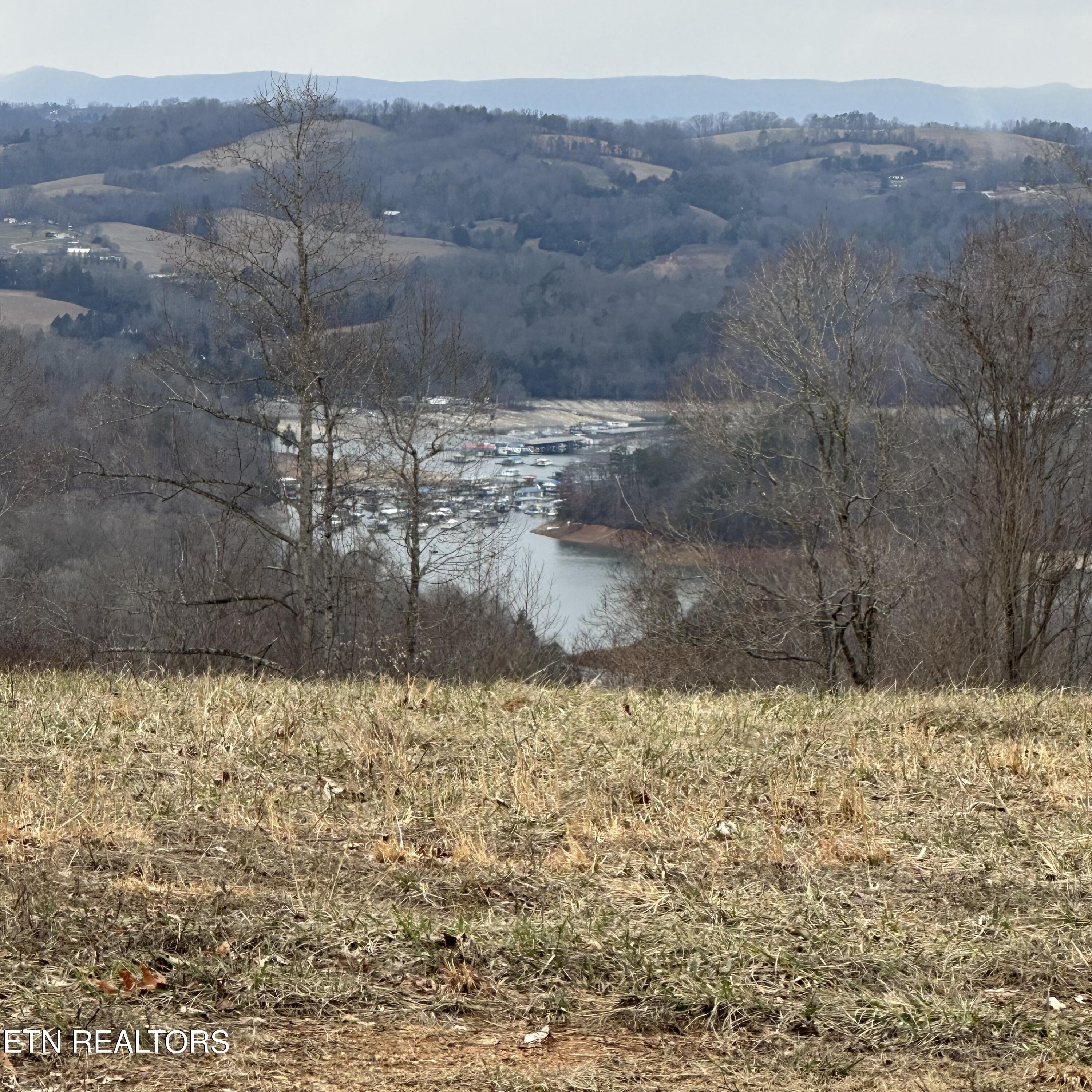 Overton, Lot 8 Road Maynardville TN 37807