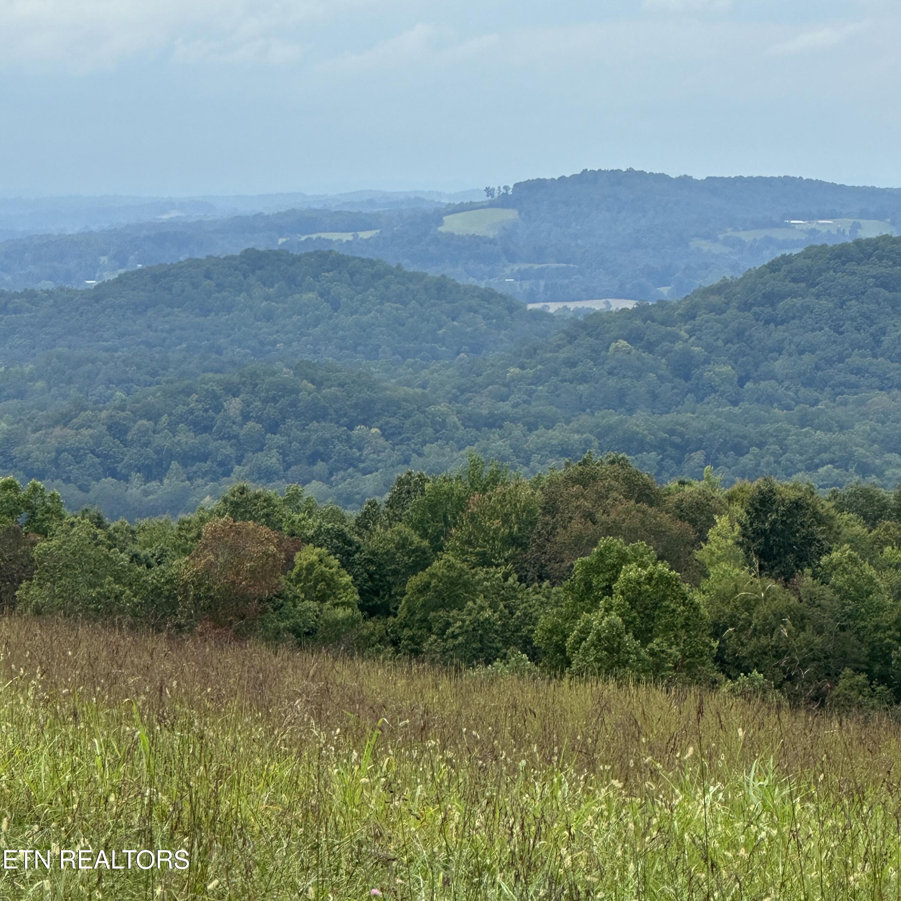 Overton, Lot 8 Road Maynardville TN 37807