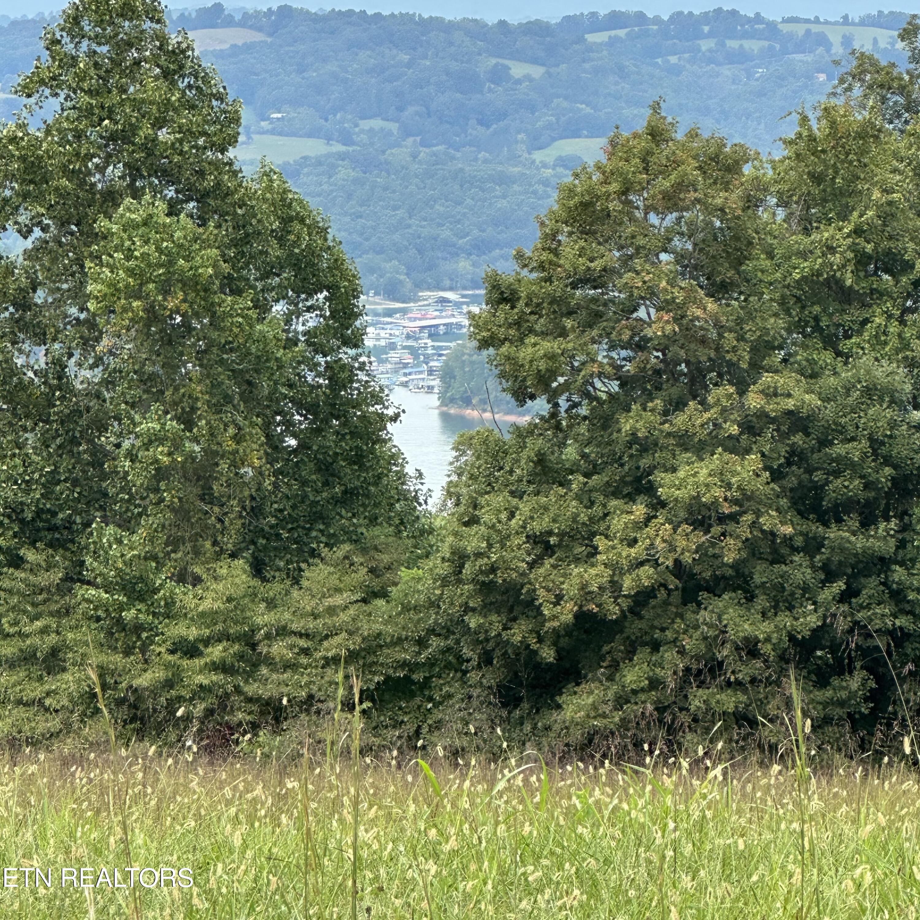 Overton, Lot 8 Road Maynardville TN 37807