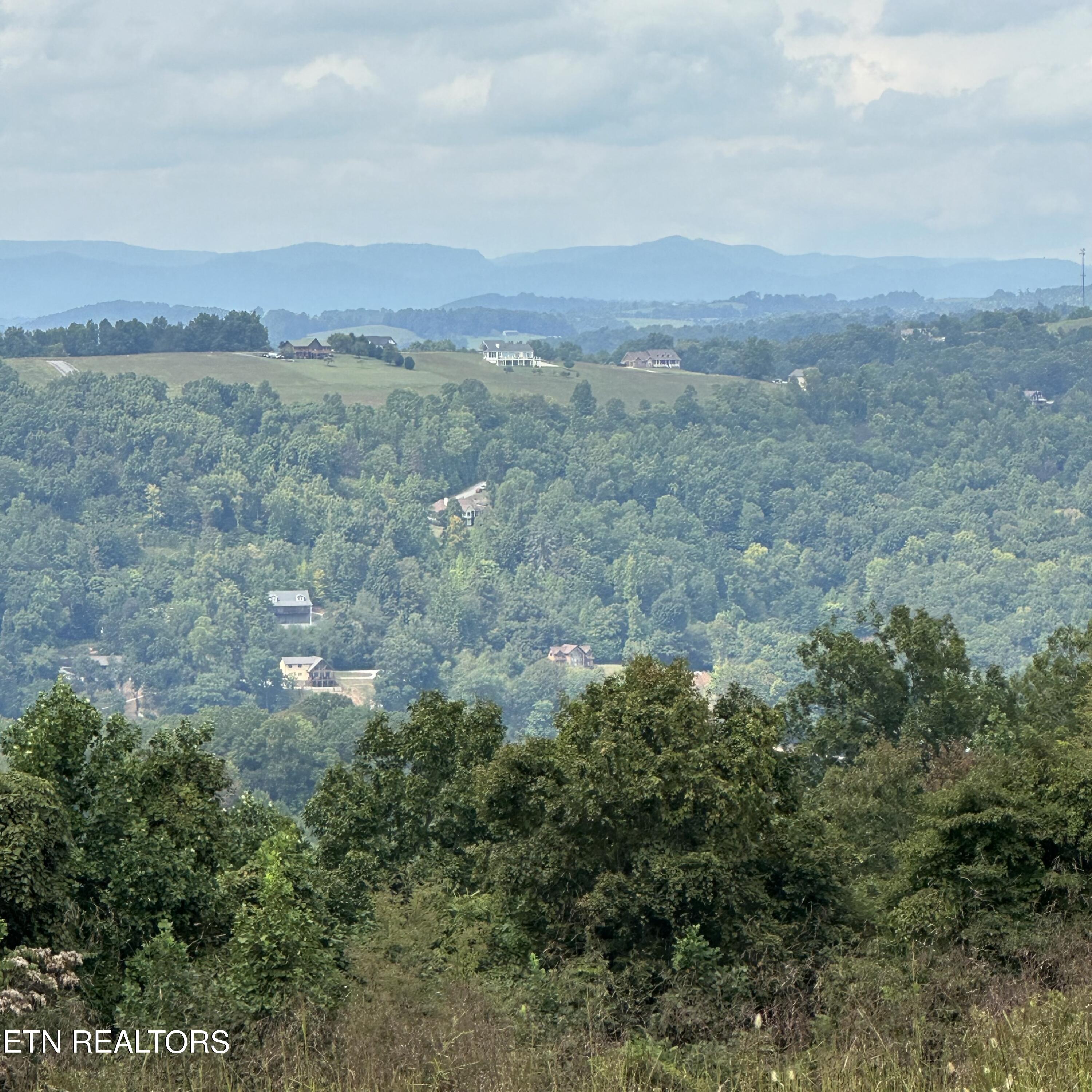 Overton, Lot 8 Road Maynardville TN 37807
