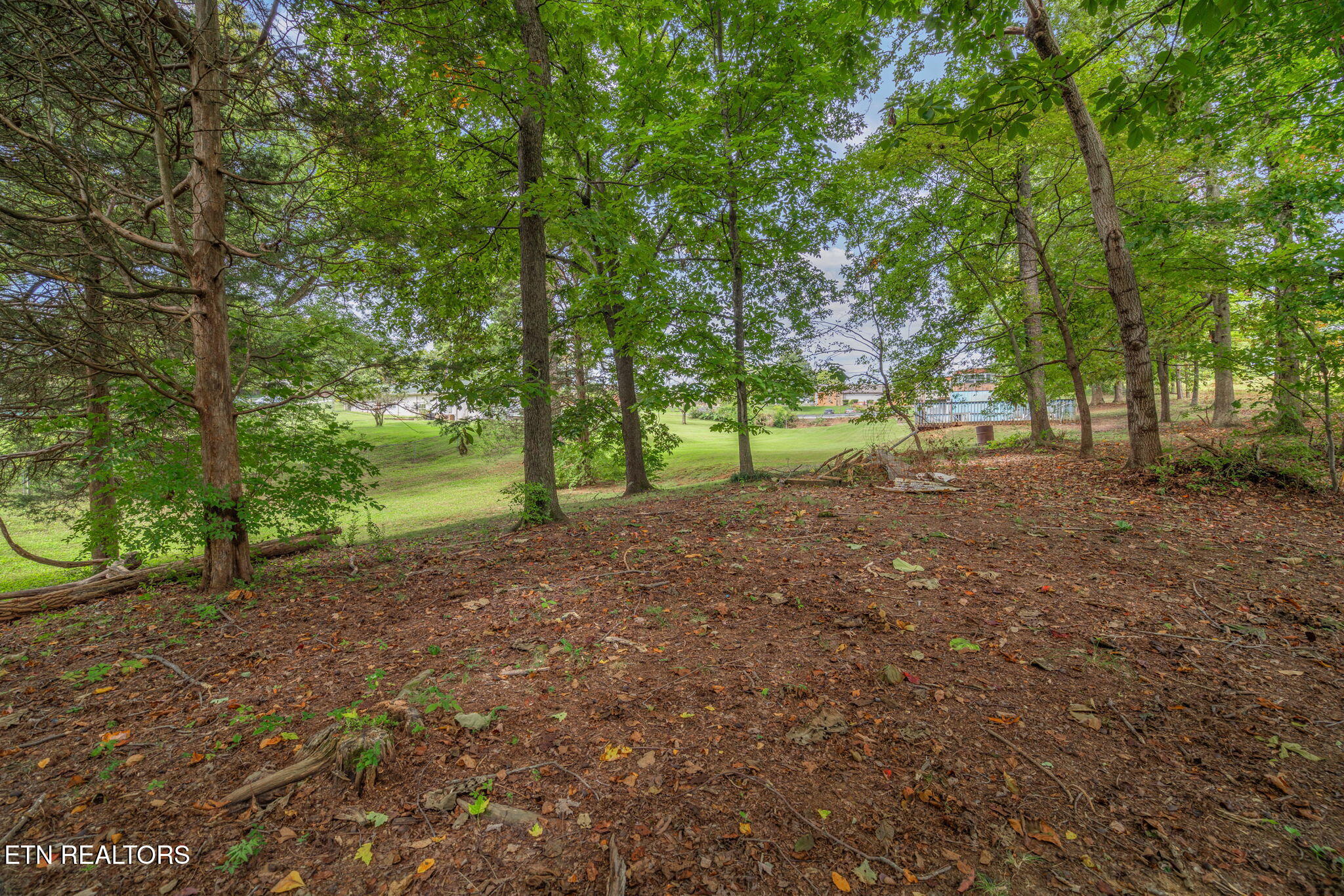 1402 Andes Road Knoxville TN 37931
