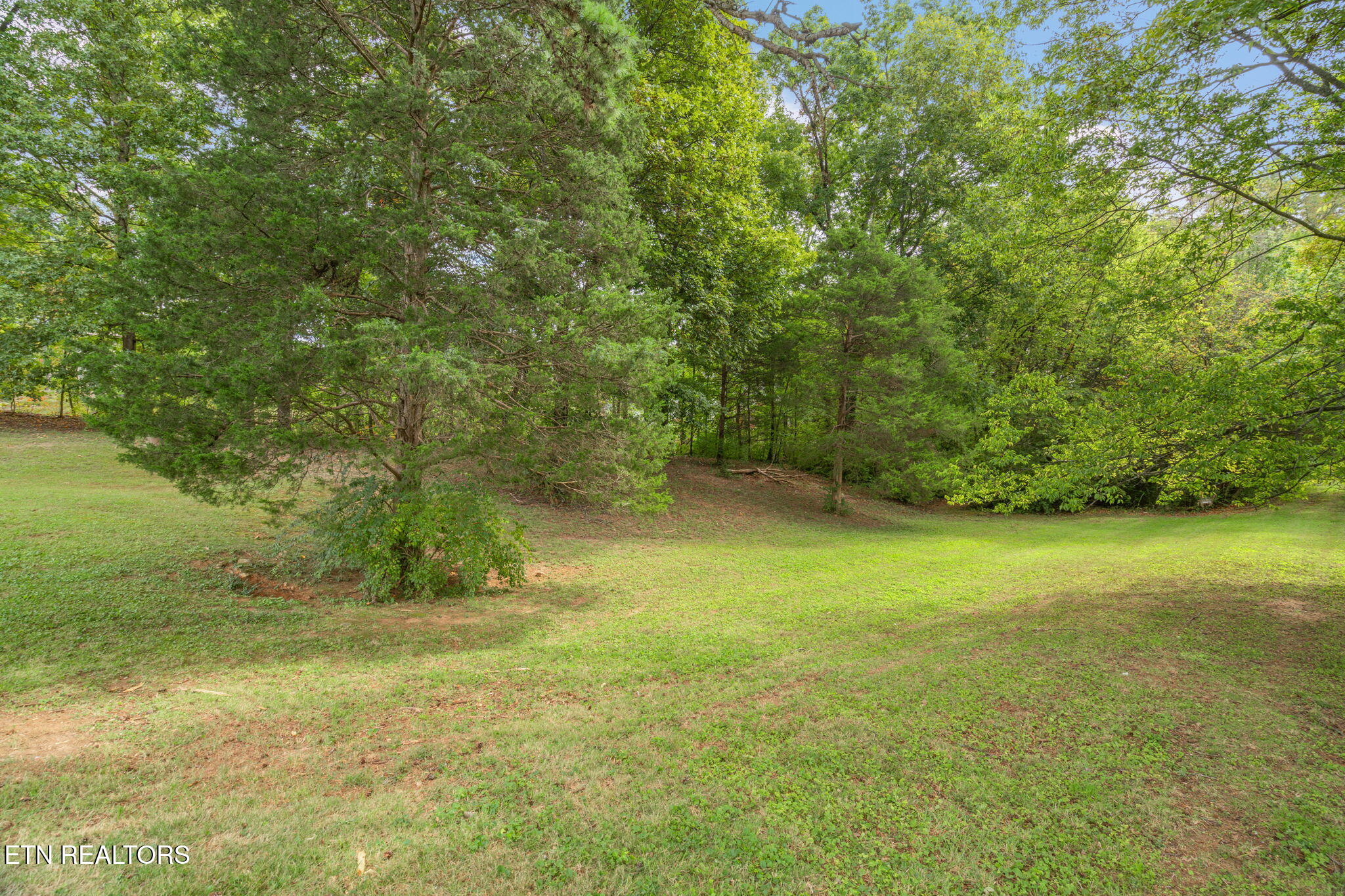 1402 Andes Road Knoxville TN 37931