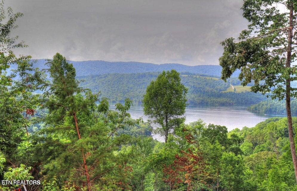 Lot 443 Feldspar Road New Tazewell TN 37825