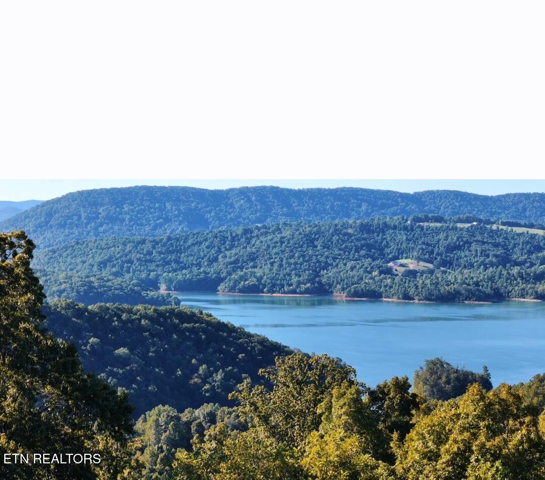Lot 443 Feldspar Road New Tazewell TN 37825