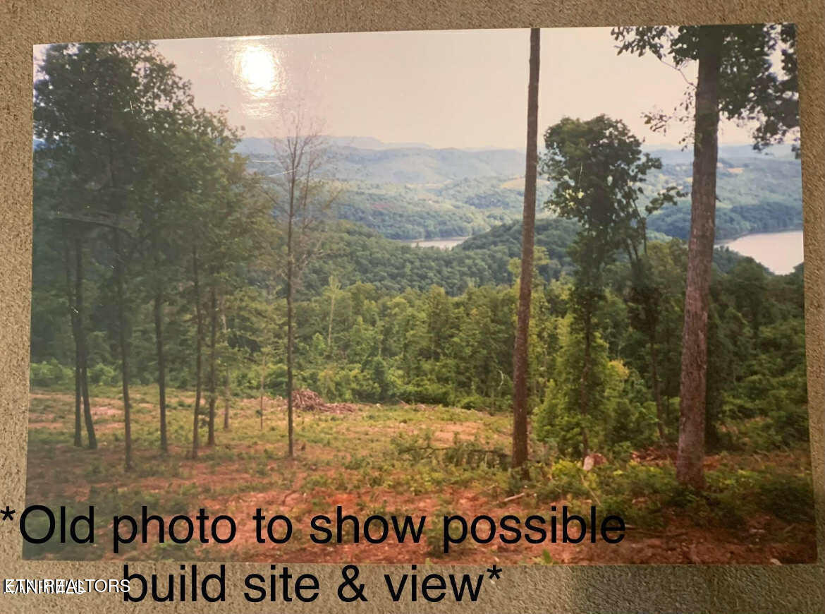 Lot 634 Chimney Rock Road New Tazewell TN 37825