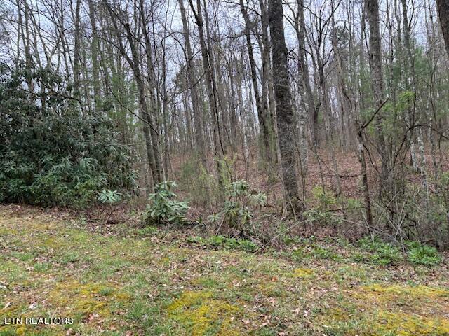 Lot 14 Flats Road Tallassee TN 37878