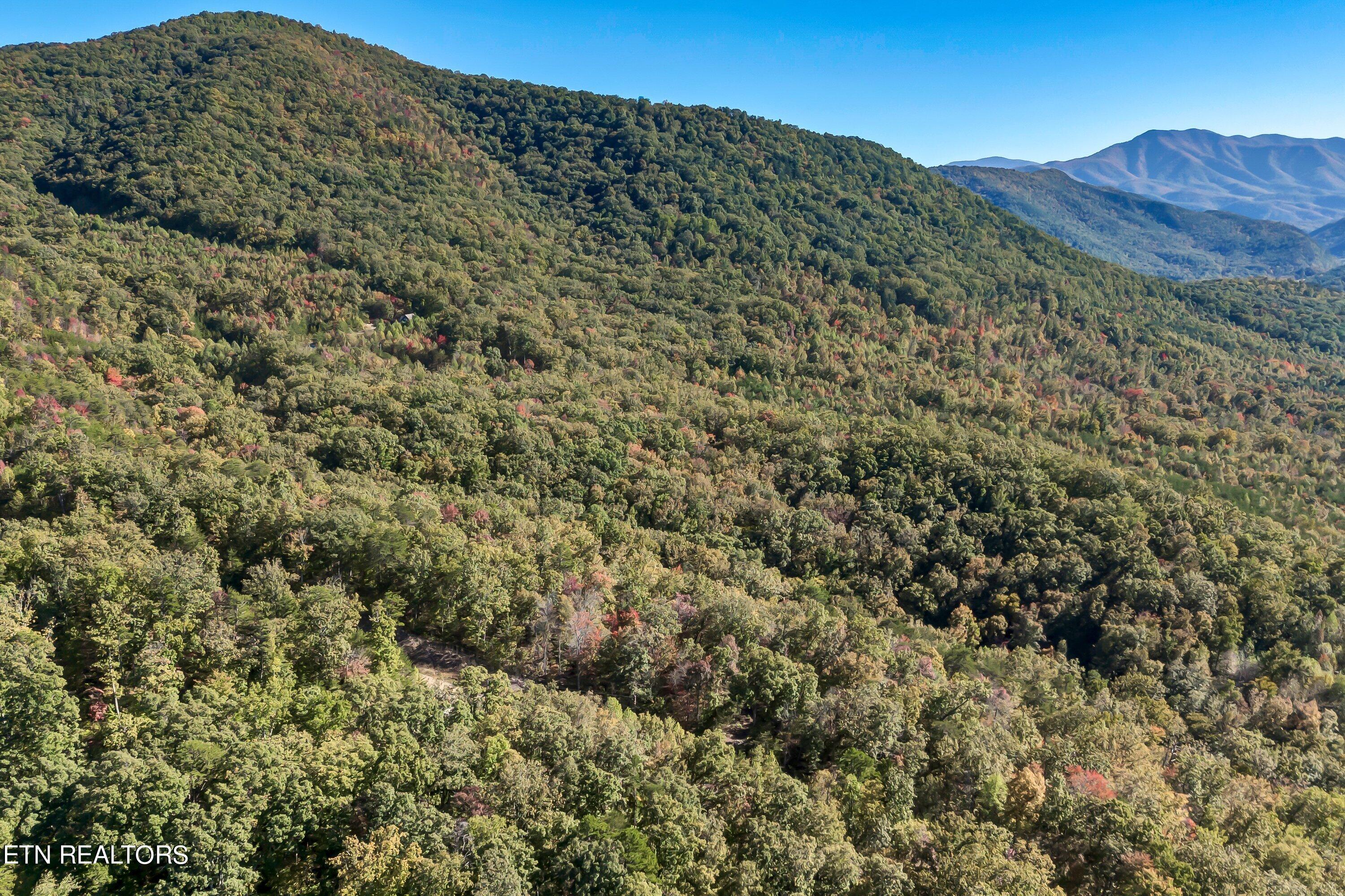 11 Acres Hartford Road Newport TN 37821