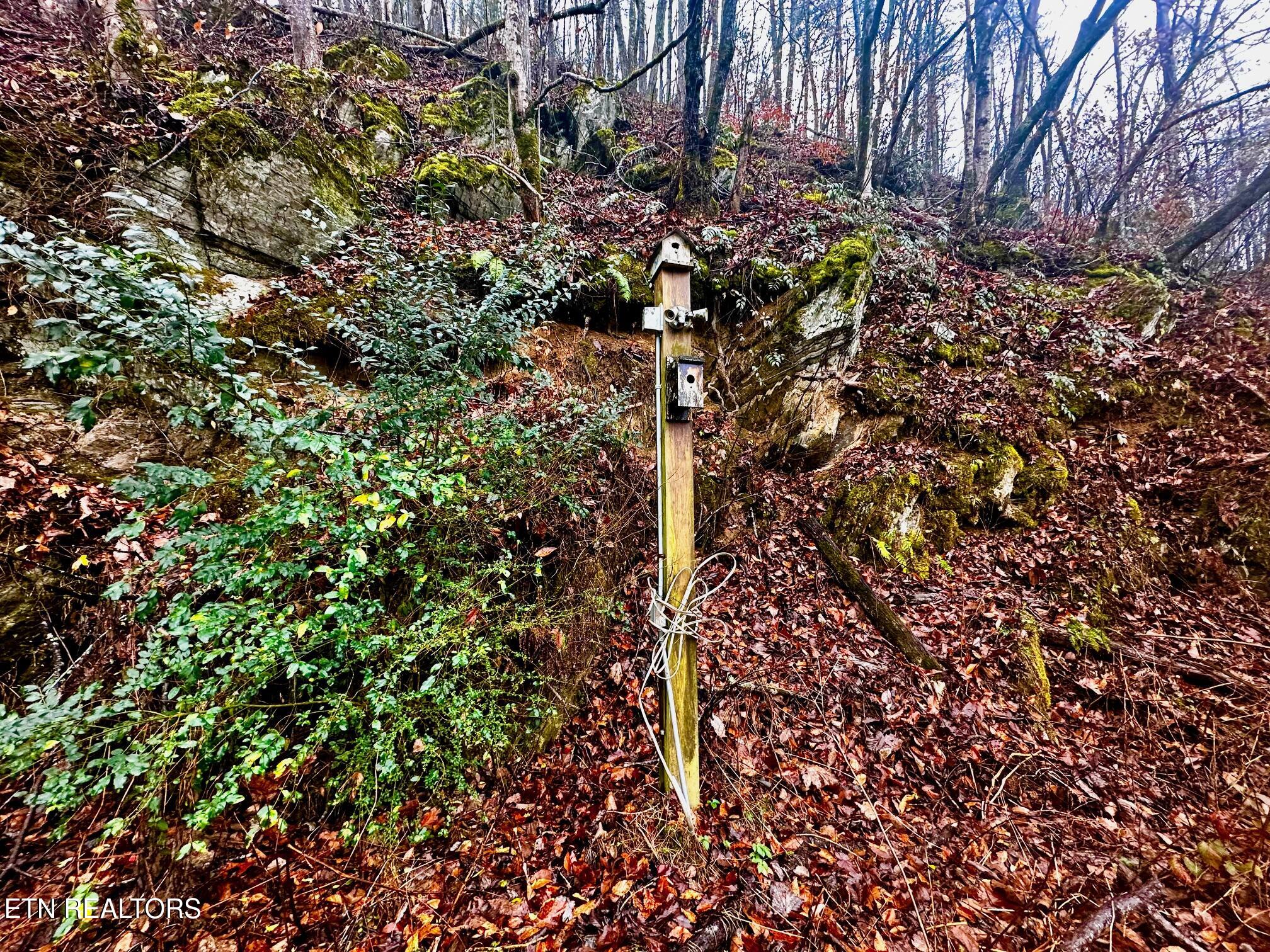 0 Cherohala Skyway Tellico Plains TN 37385