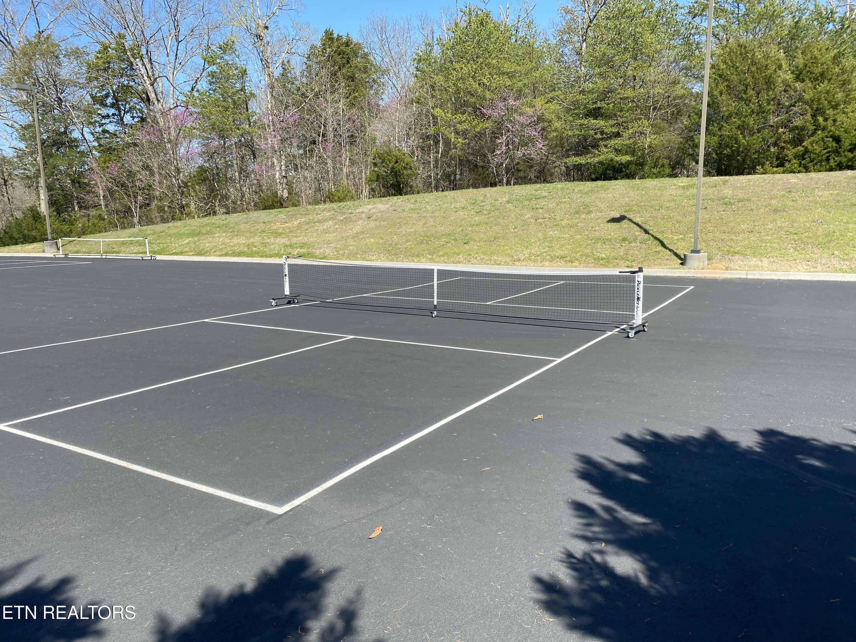 554 Grande Vista Drive Rockwood TN 37854