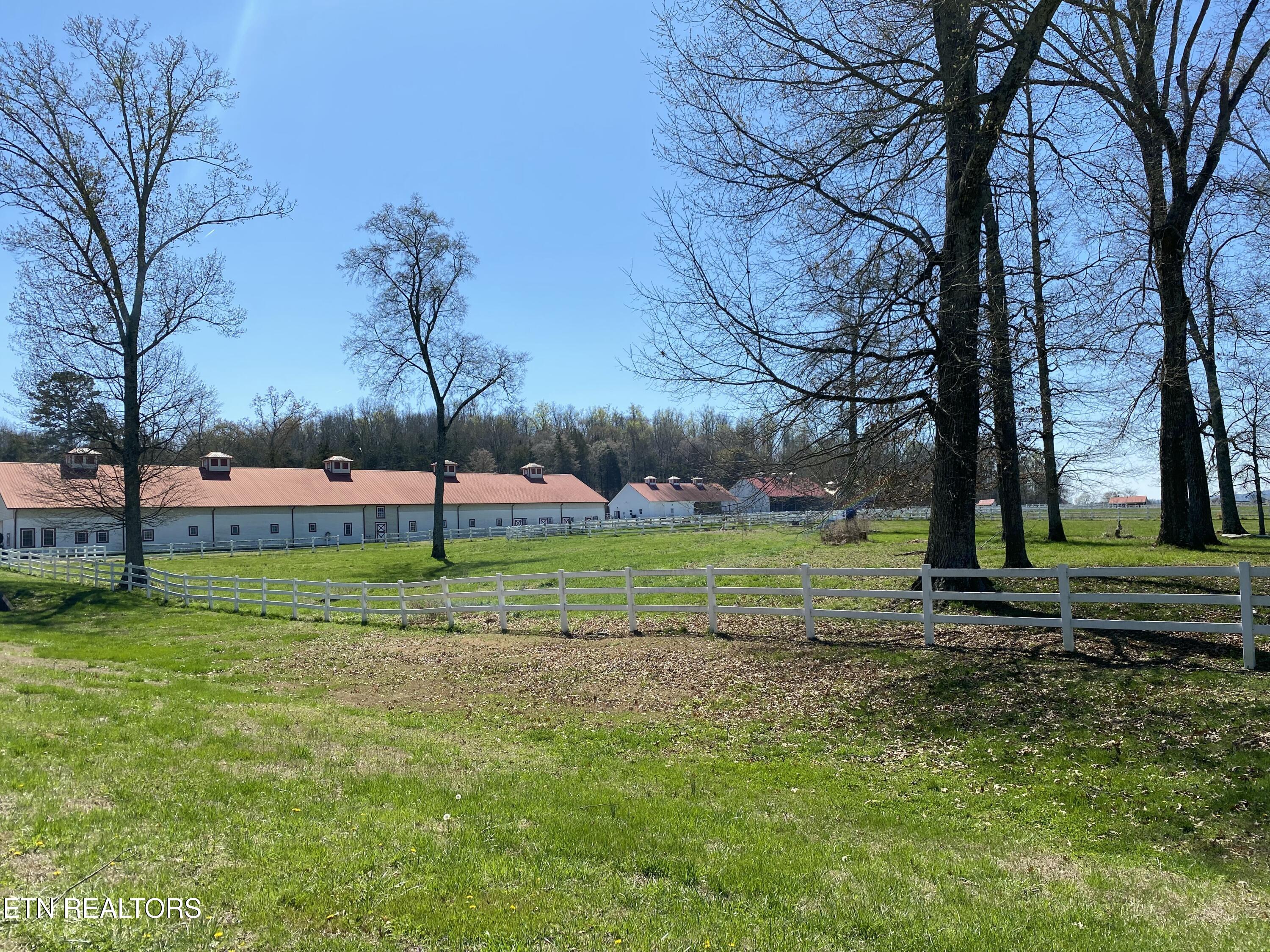 554 Grande Vista Drive Rockwood TN 37854