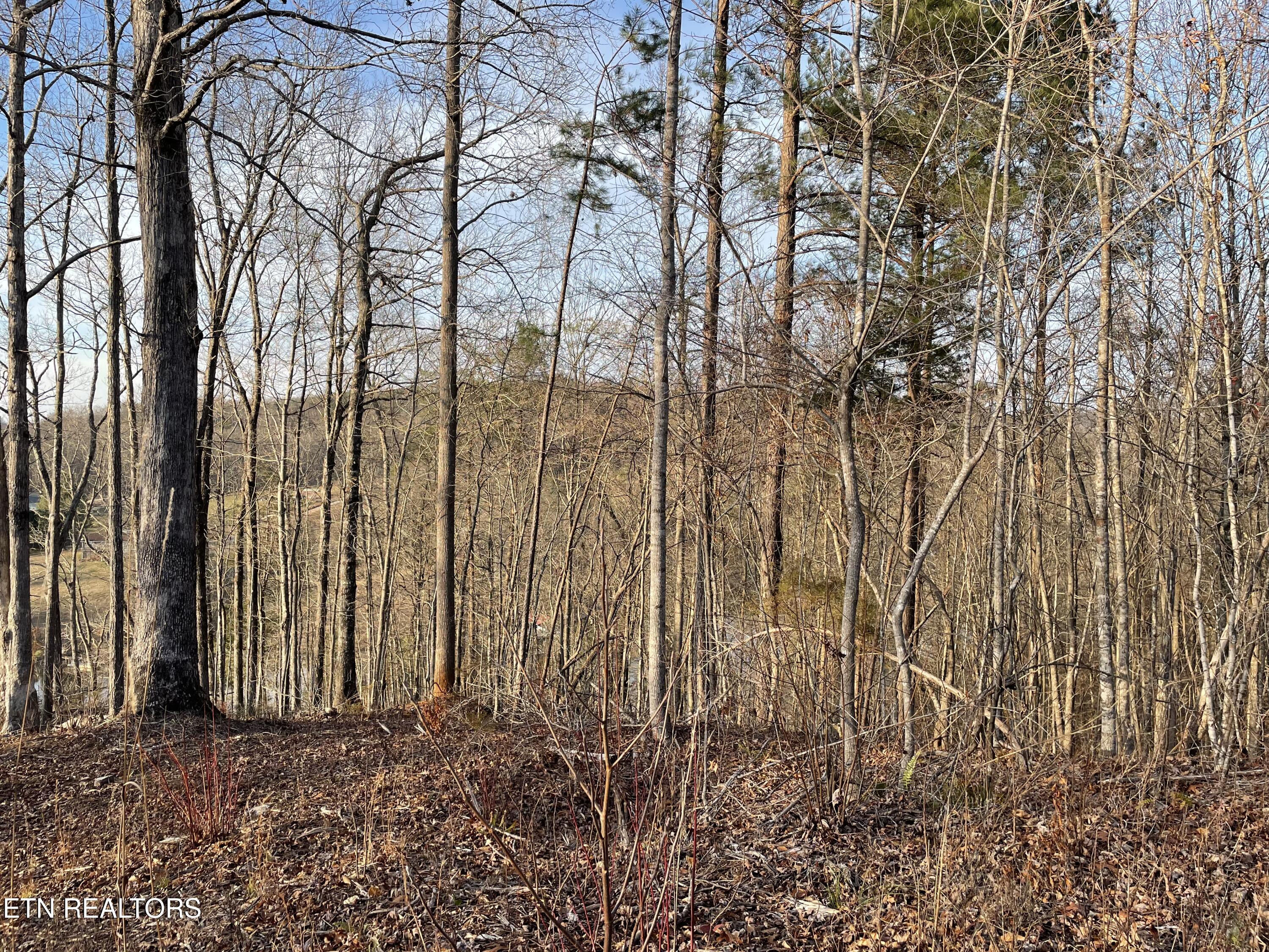 Lot 69 Three Point Road Madisonville TN 37354