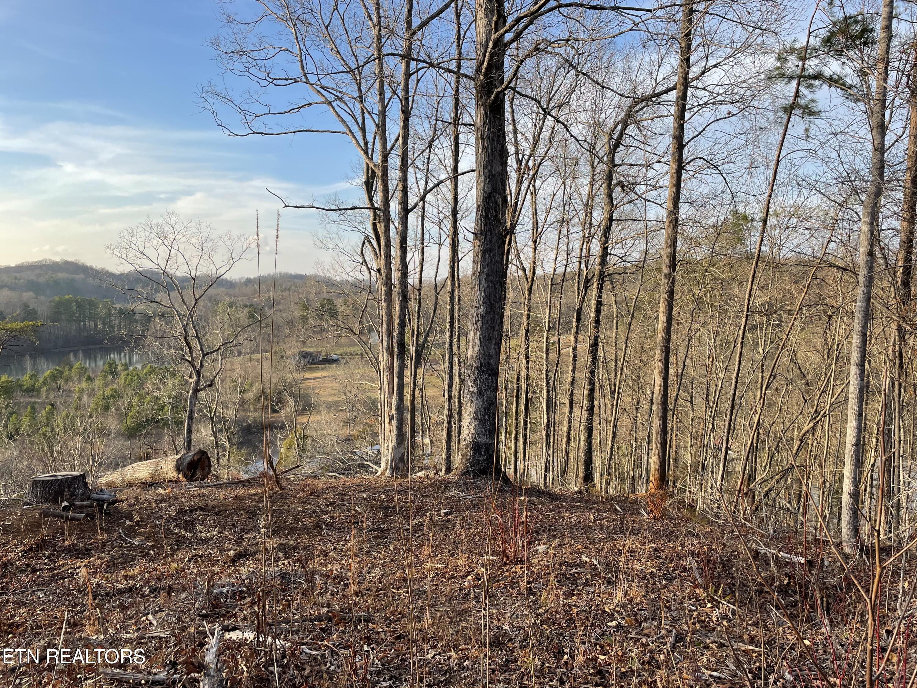 Lot 69 Three Point Road Madisonville TN 37354