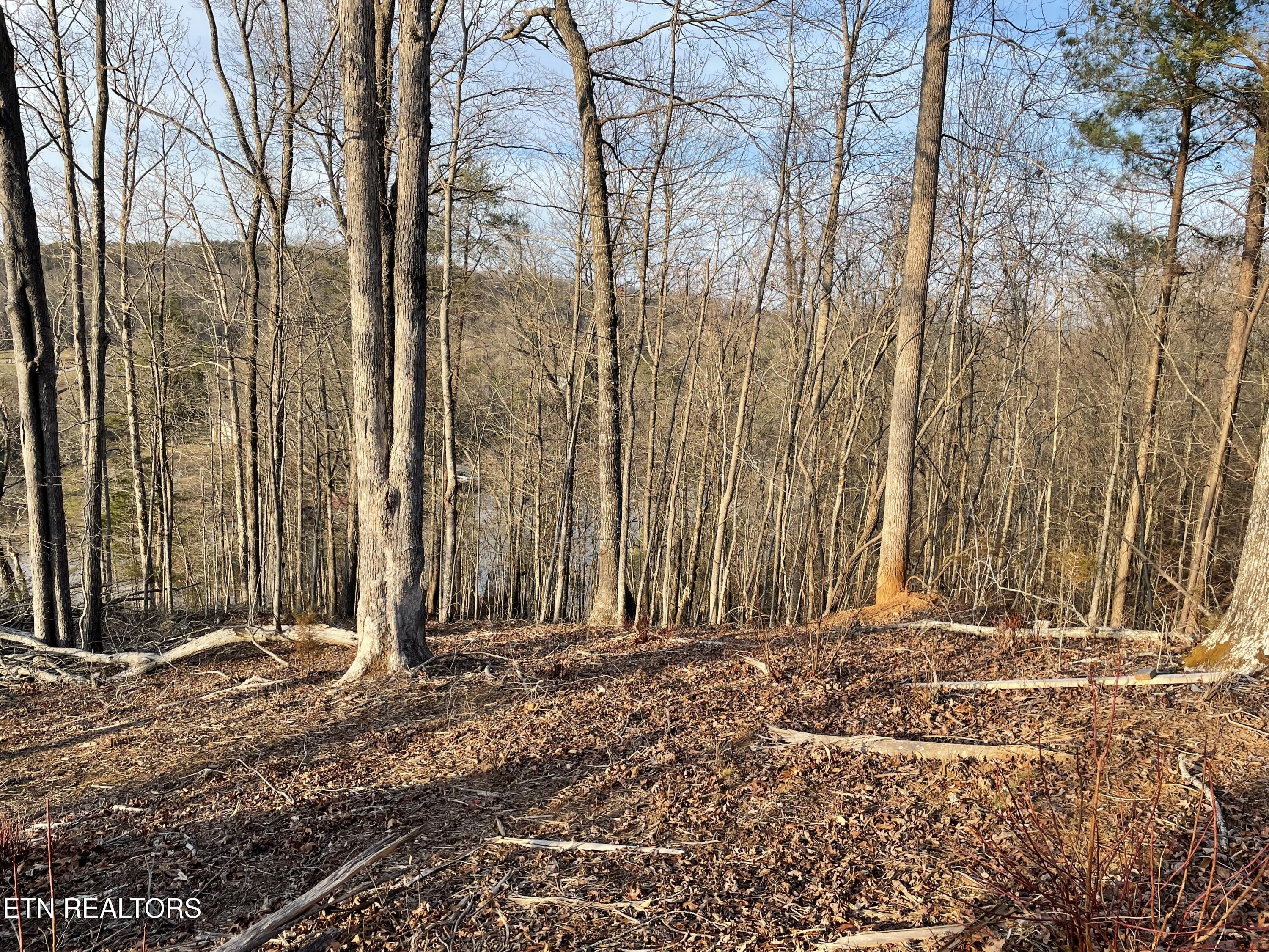 Lot 69 Three Point Road Madisonville TN 37354