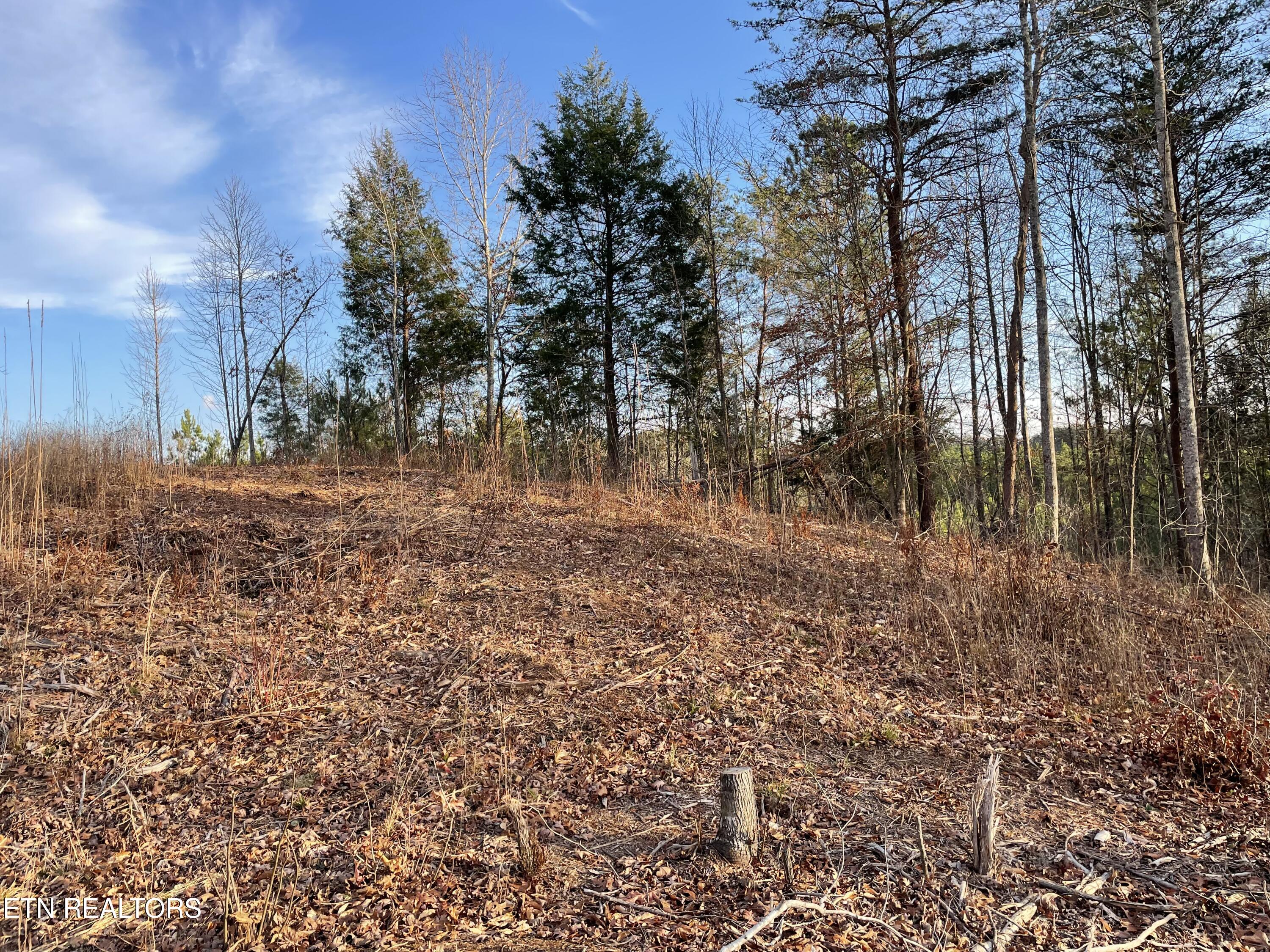 Lot 69 Three Point Road Madisonville TN 37354