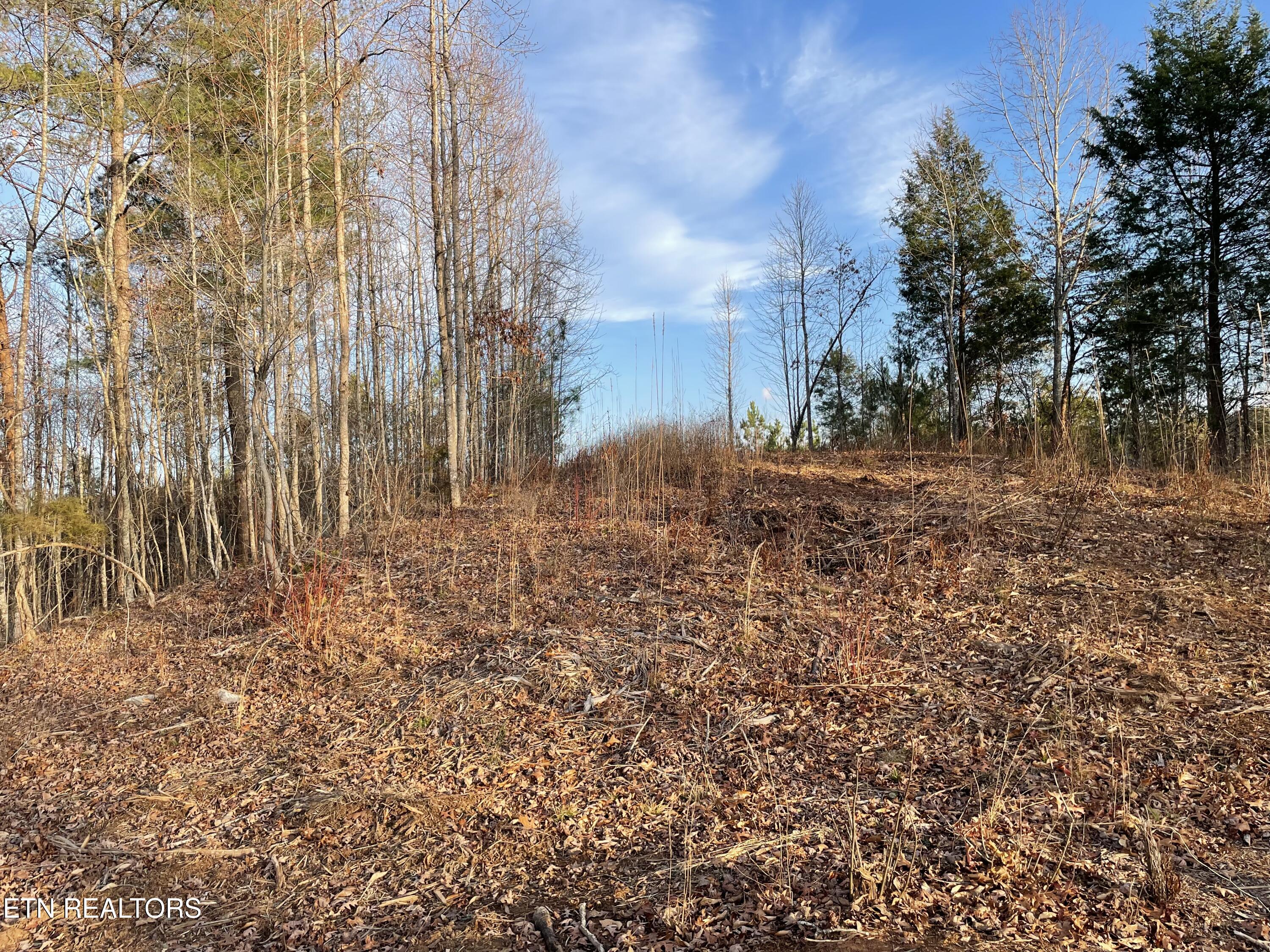 Lot 69 Three Point Road Madisonville TN 37354
