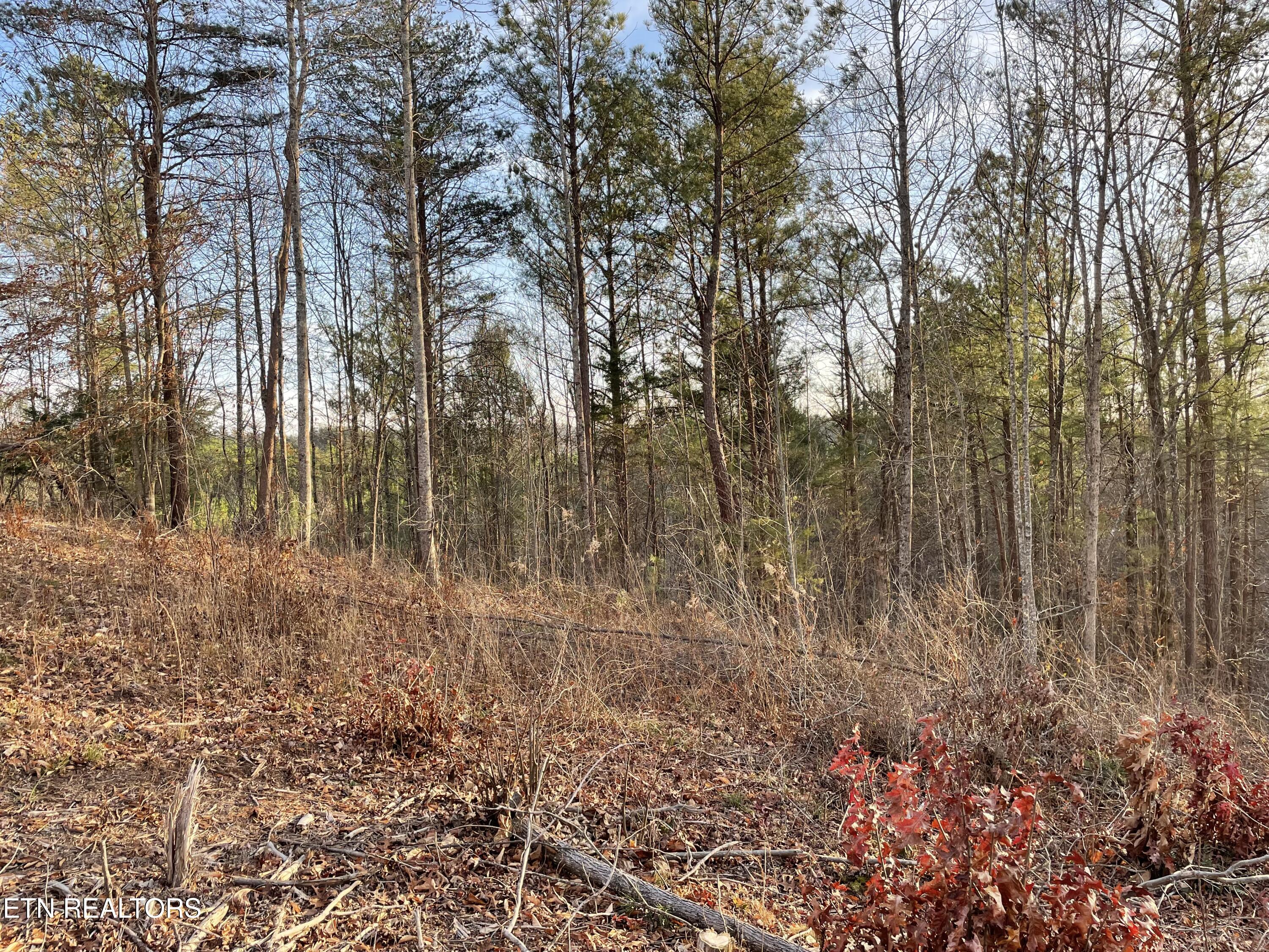 Lot 69 Three Point Road Madisonville TN 37354