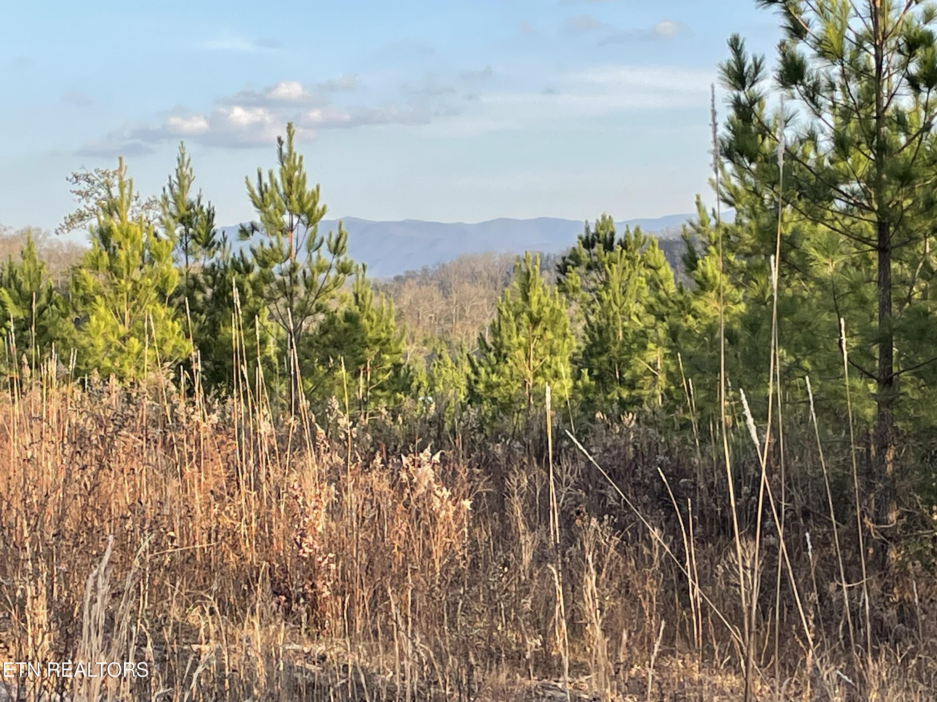 Lot 69 Three Point Road Madisonville TN 37354