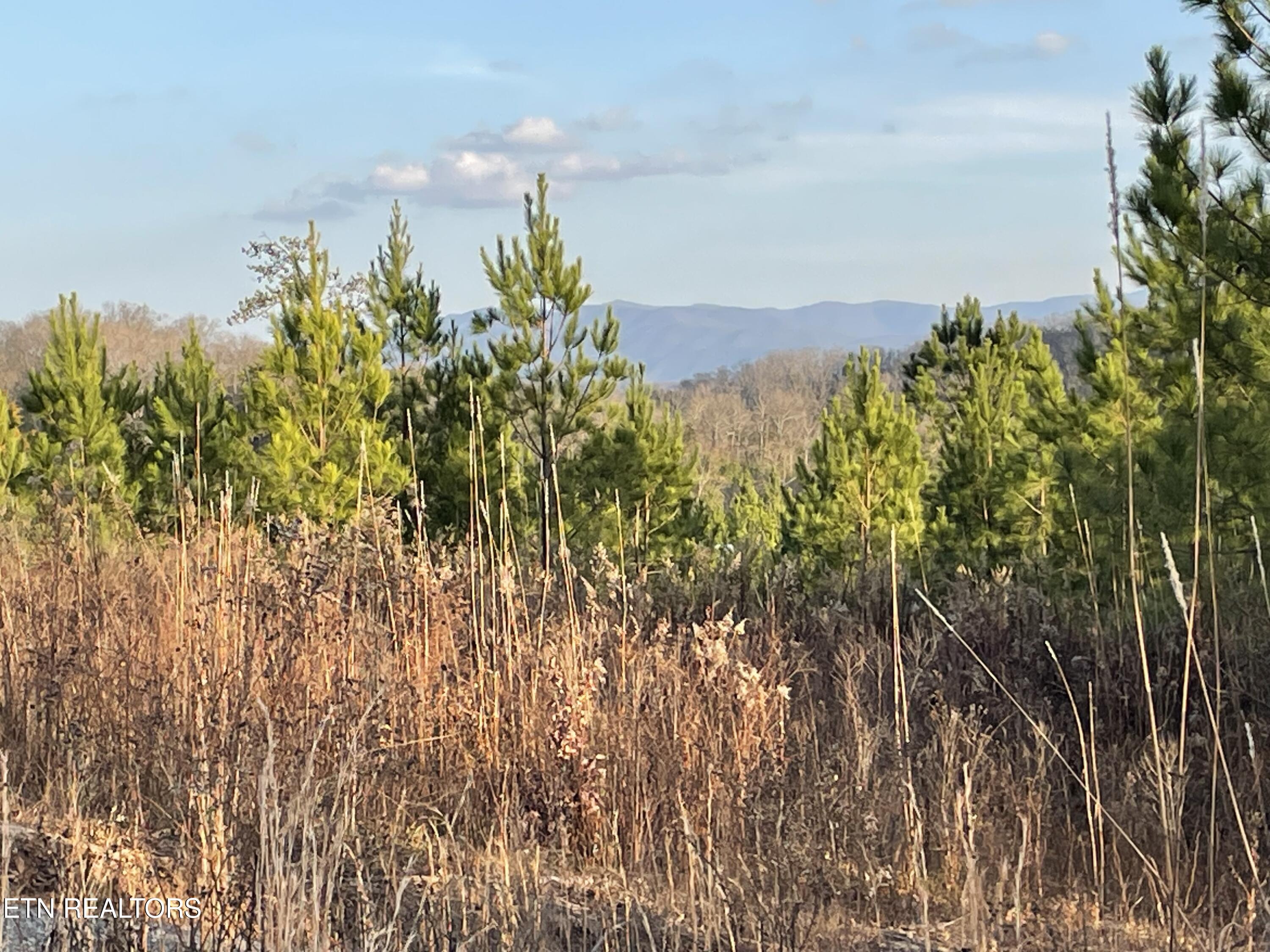Lot 69 Three Point Road Madisonville TN 37354