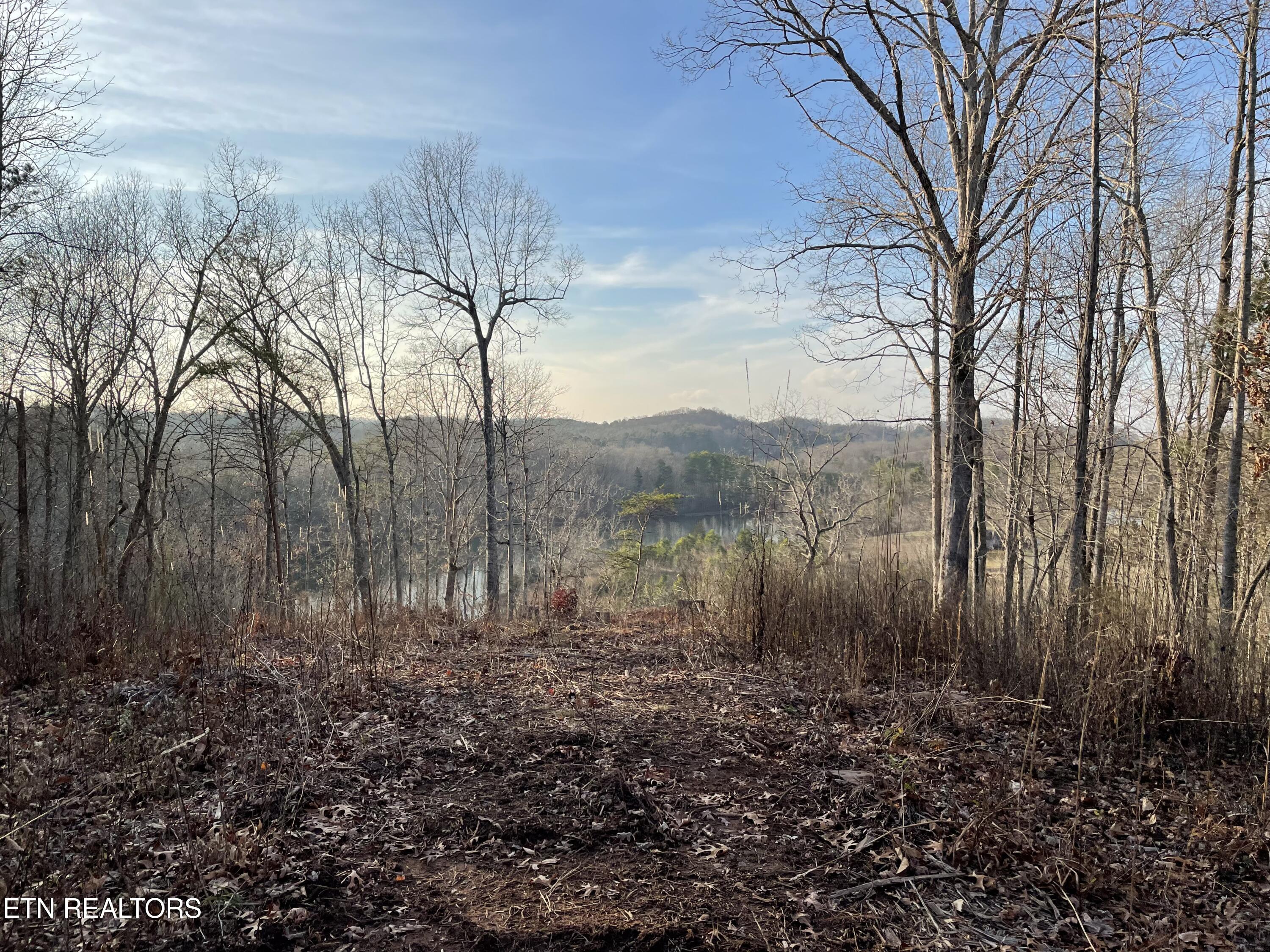 Lot 69 Three Point Road Madisonville TN 37354