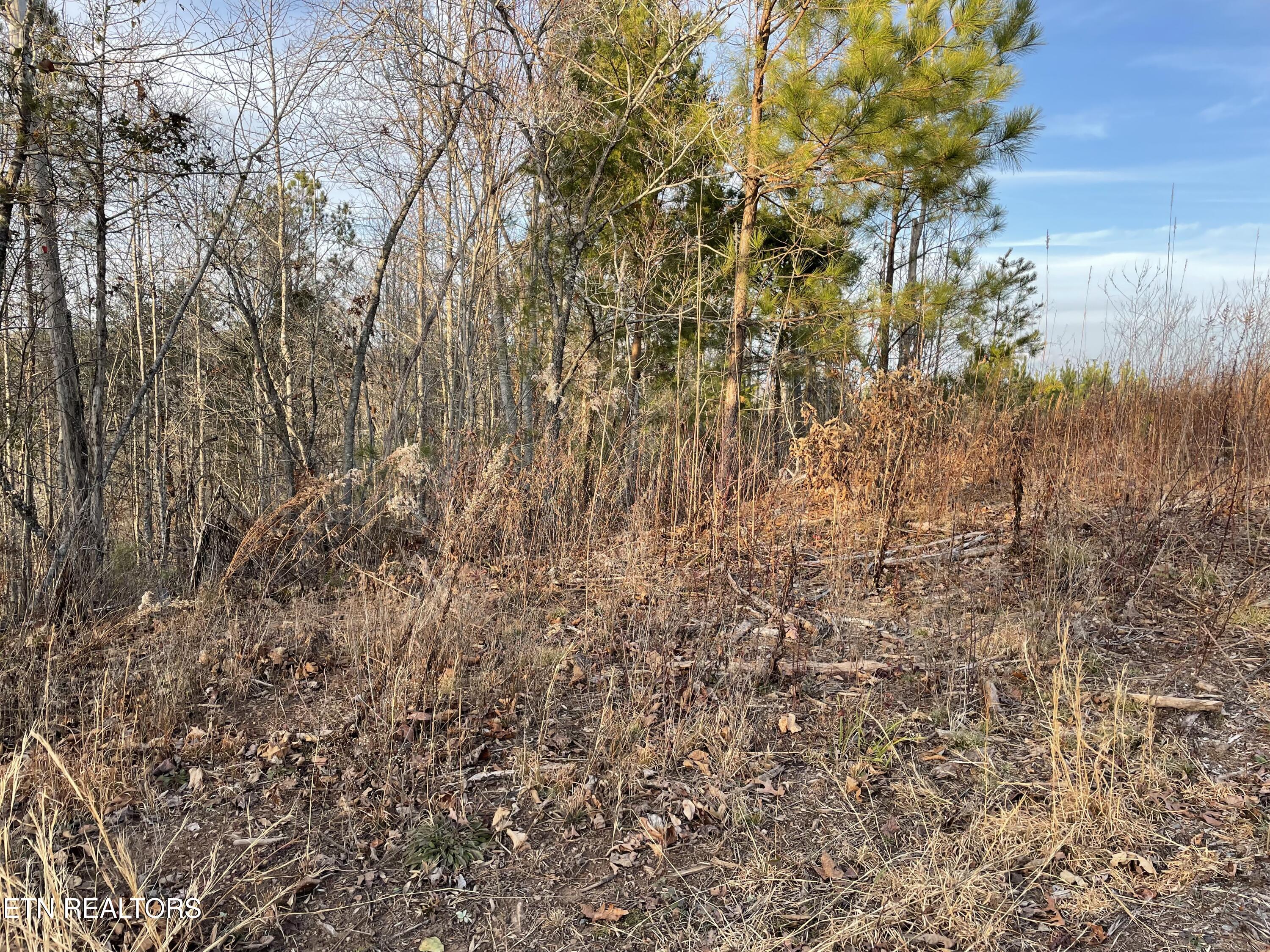 Lot 69 Three Point Road Madisonville TN 37354