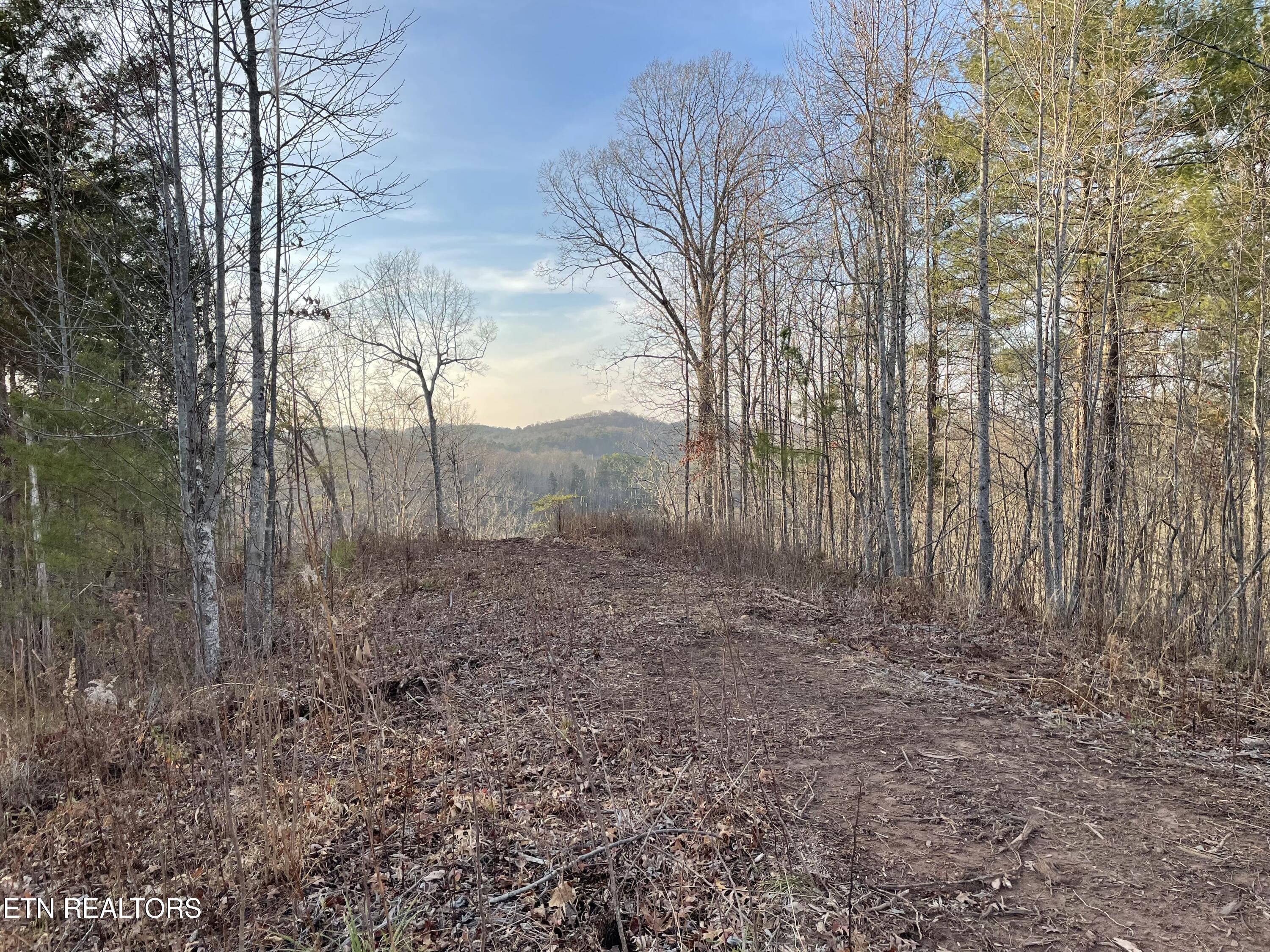 Lot 69 Three Point Road Madisonville TN 37354