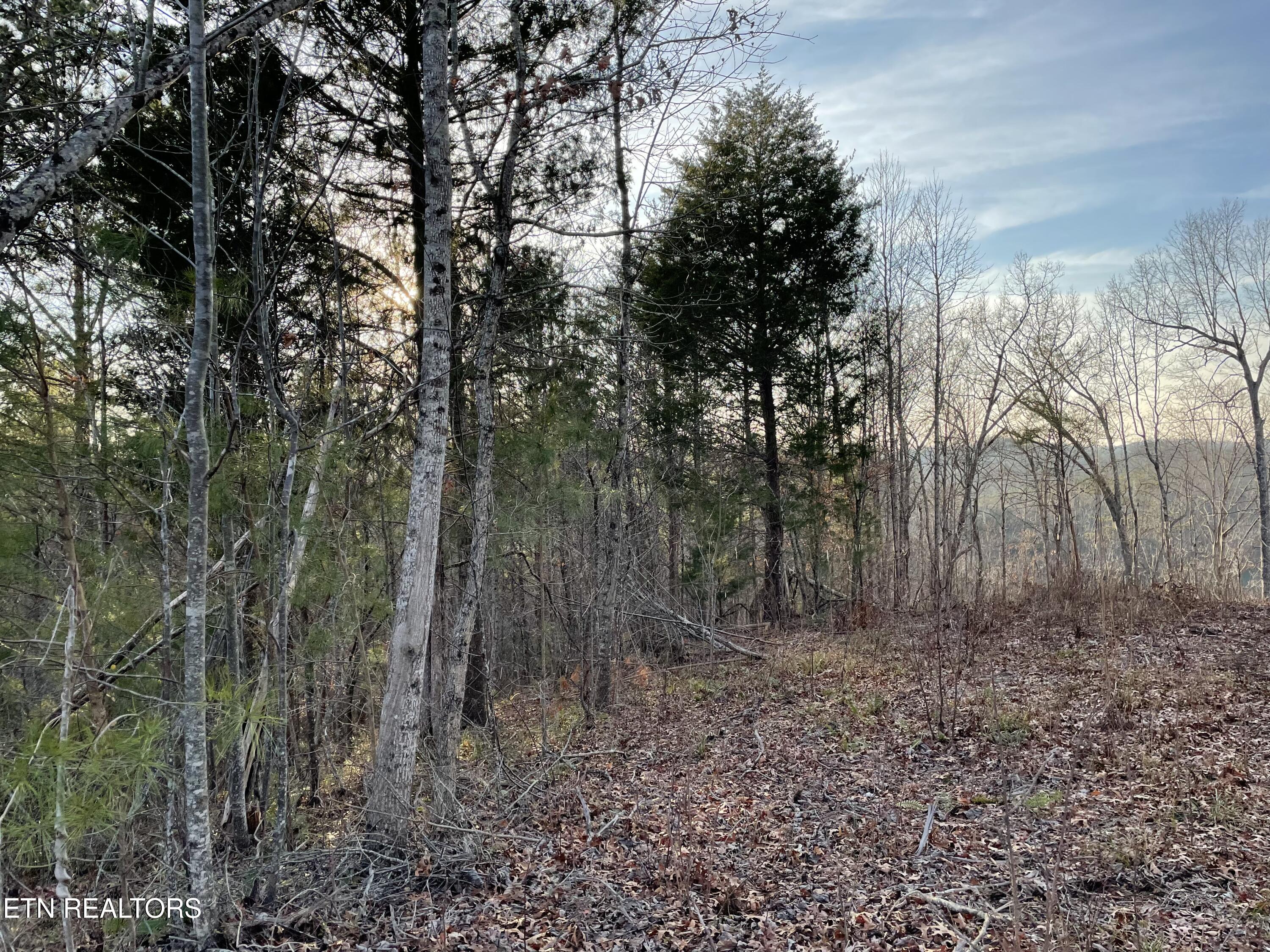 Lot 69 Three Point Road Madisonville TN 37354