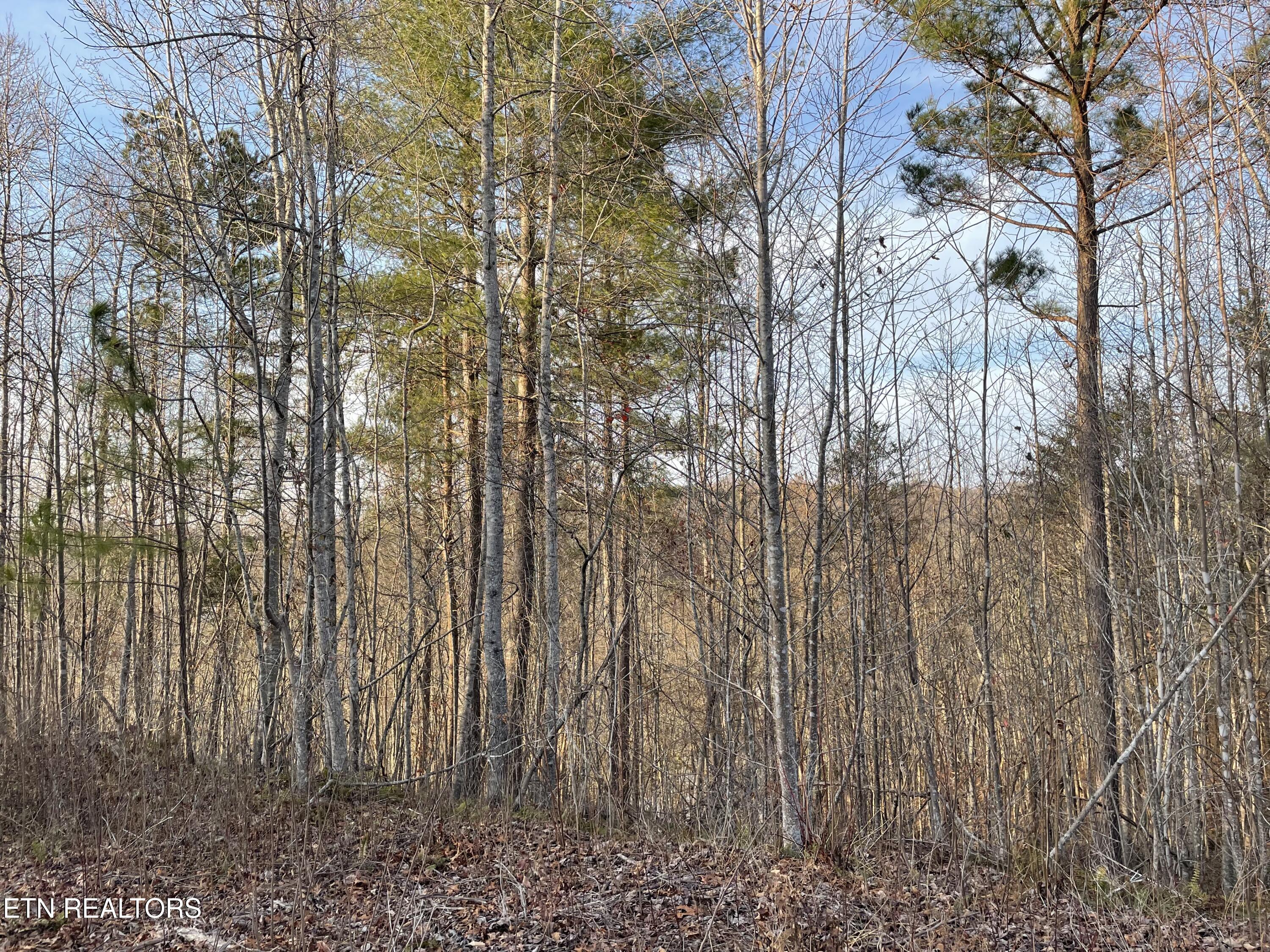 Lot 69 Three Point Road Madisonville TN 37354