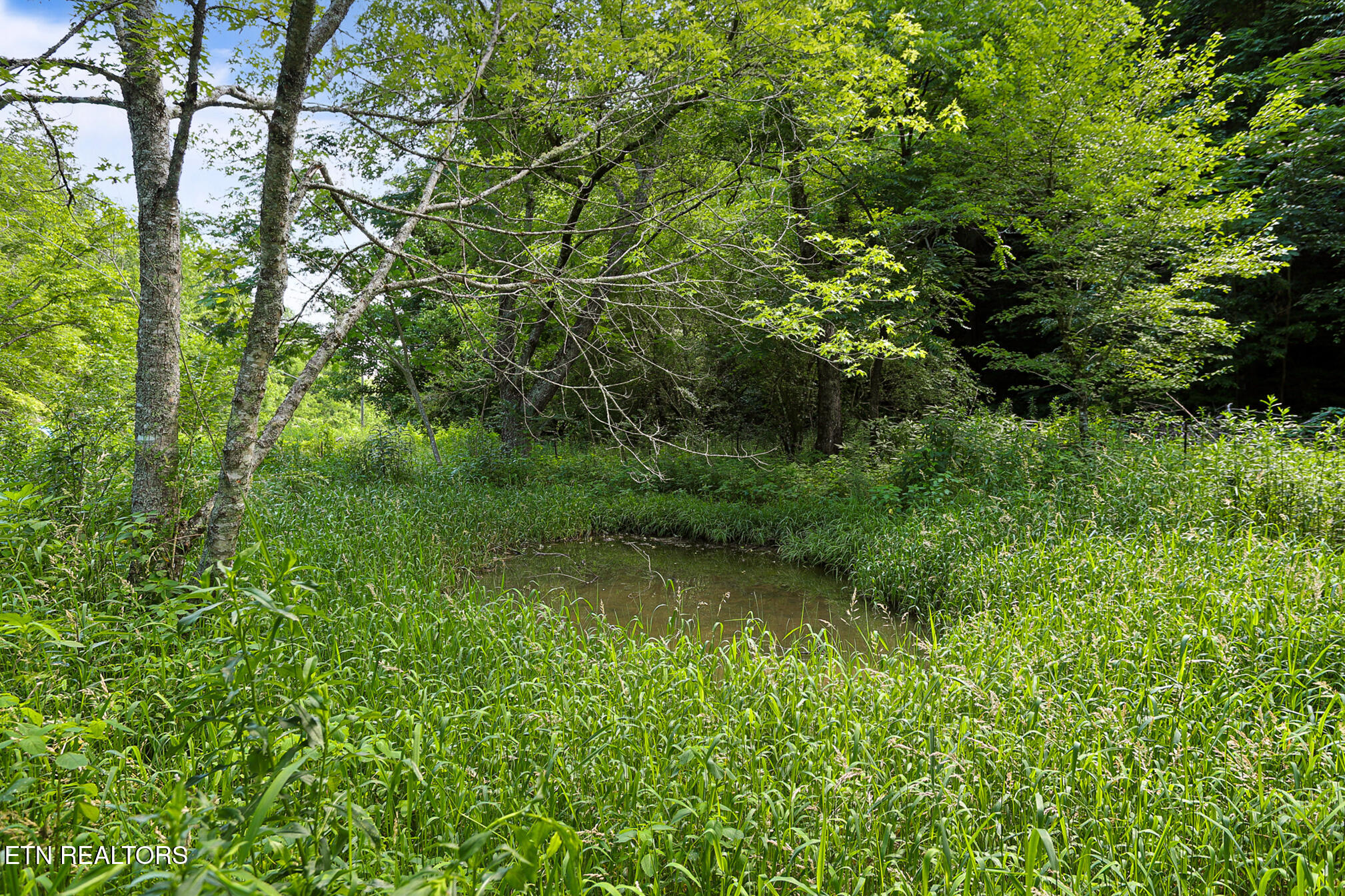 553 Caney Creek Road Pigeon Forge TN 37863