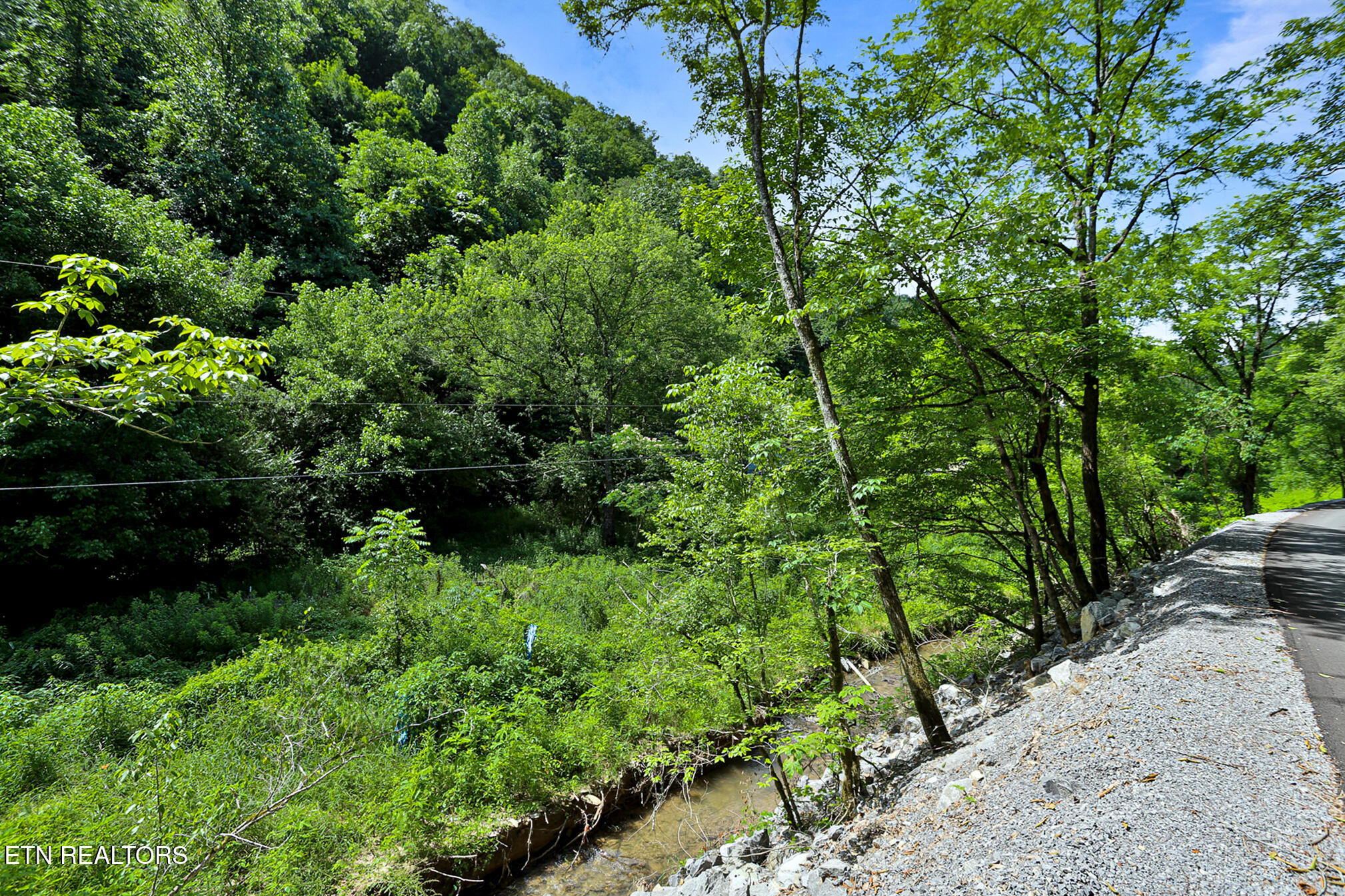 553 Caney Creek Road Pigeon Forge TN 37863