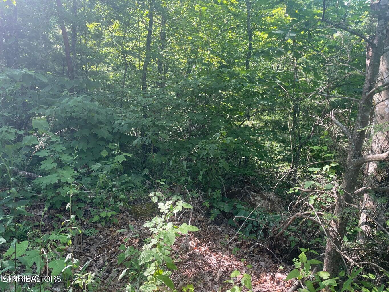 Lot 69 Sycamore Street Sevierville TN 37876