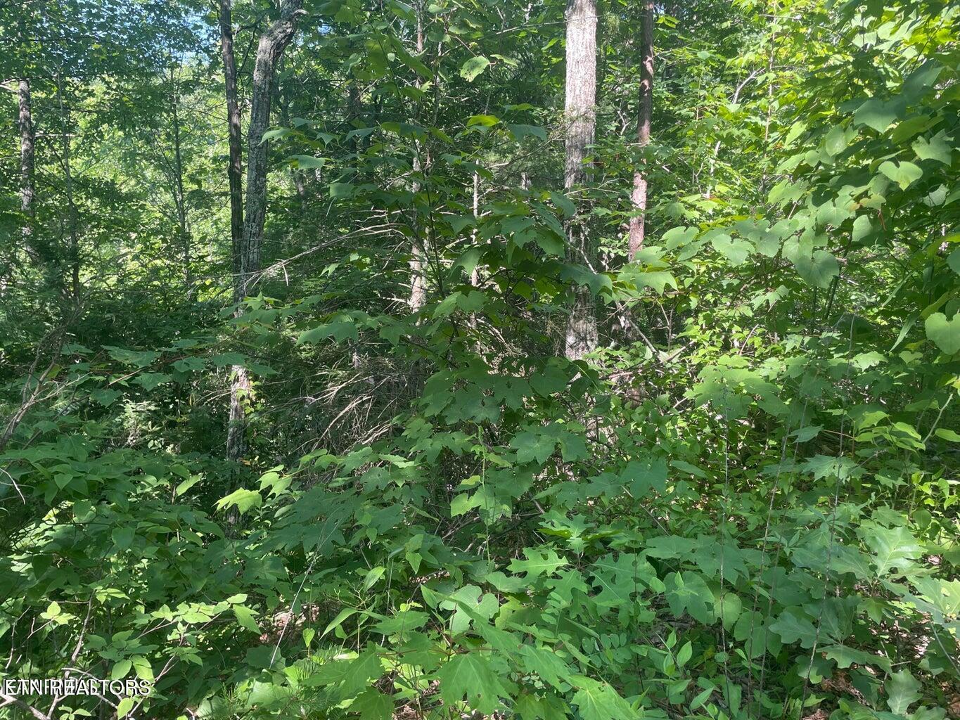 Lot 69 Sycamore Street Sevierville TN 37876