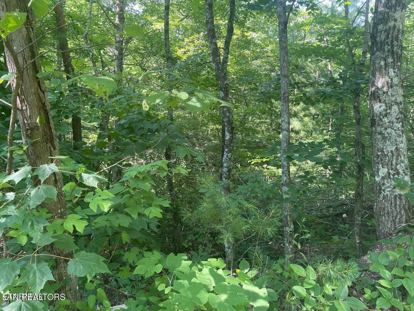 Lot 69 Sycamore Street Sevierville TN 37876